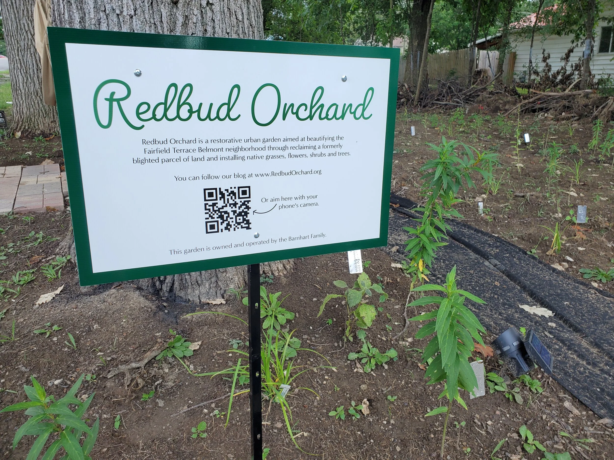 My poor garden looks so haggard right now.