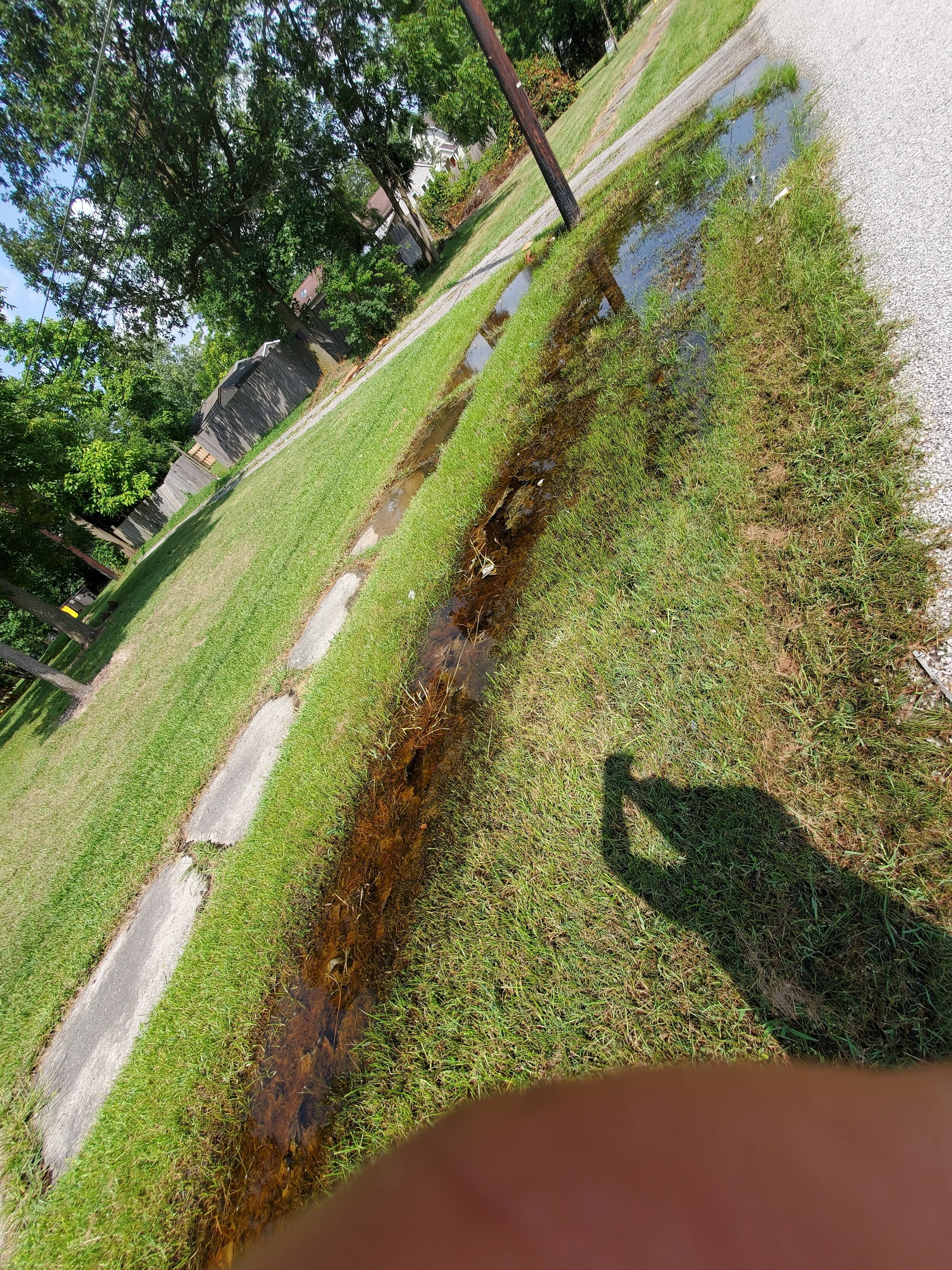 20210827_150913 (1).jpg