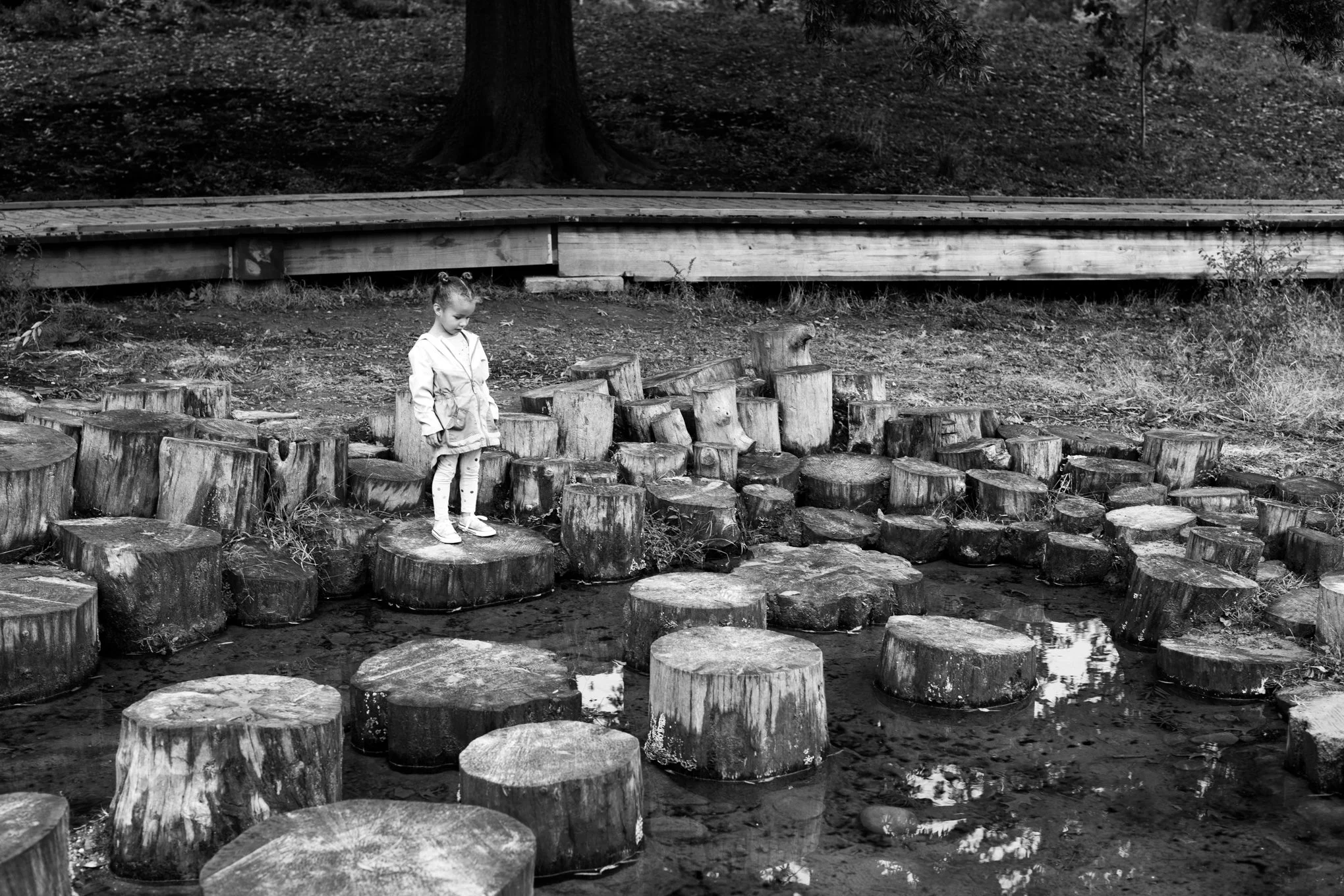 St Louis 2021-12.jpg