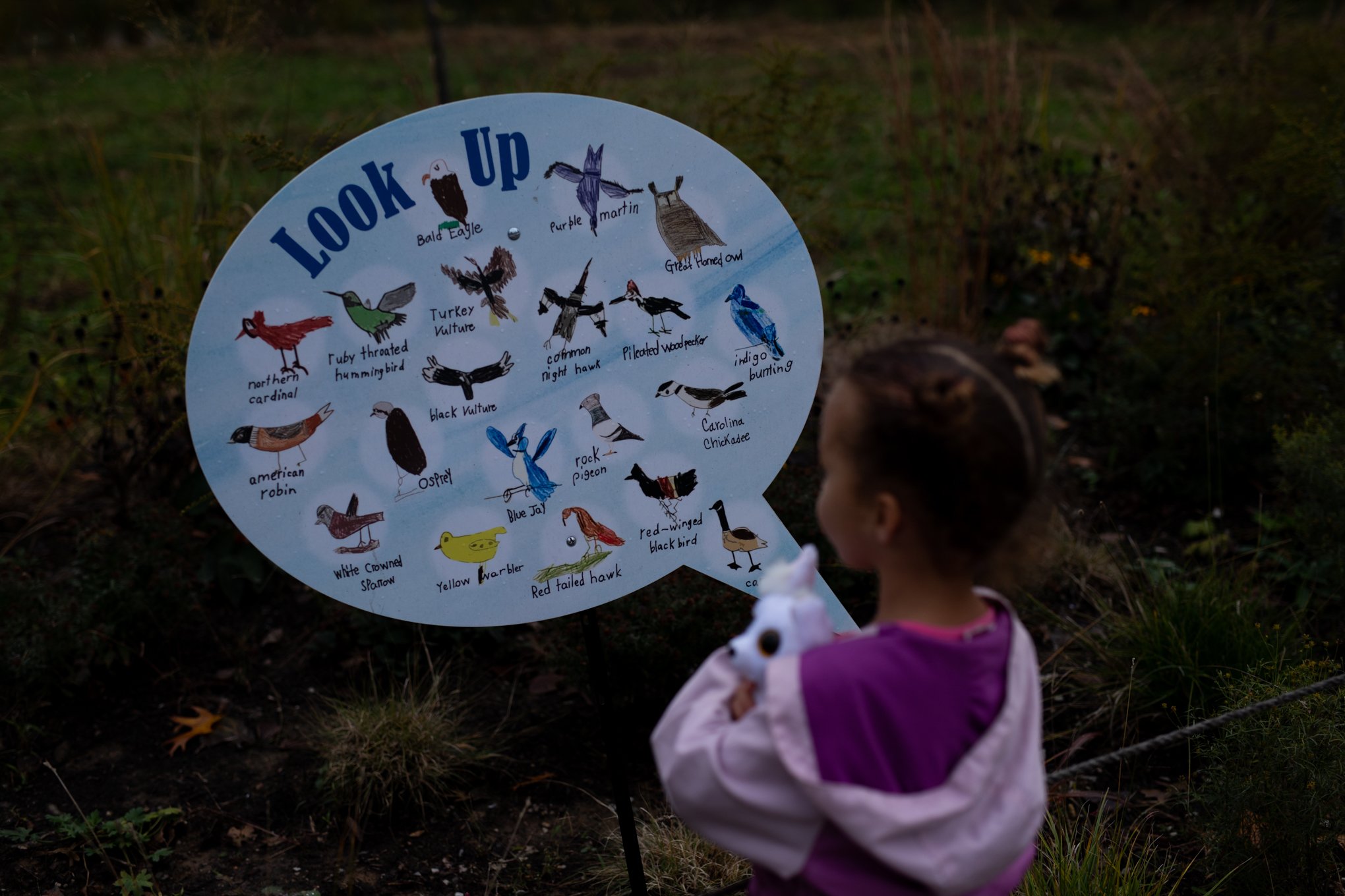 St Louis 2021-23.jpg