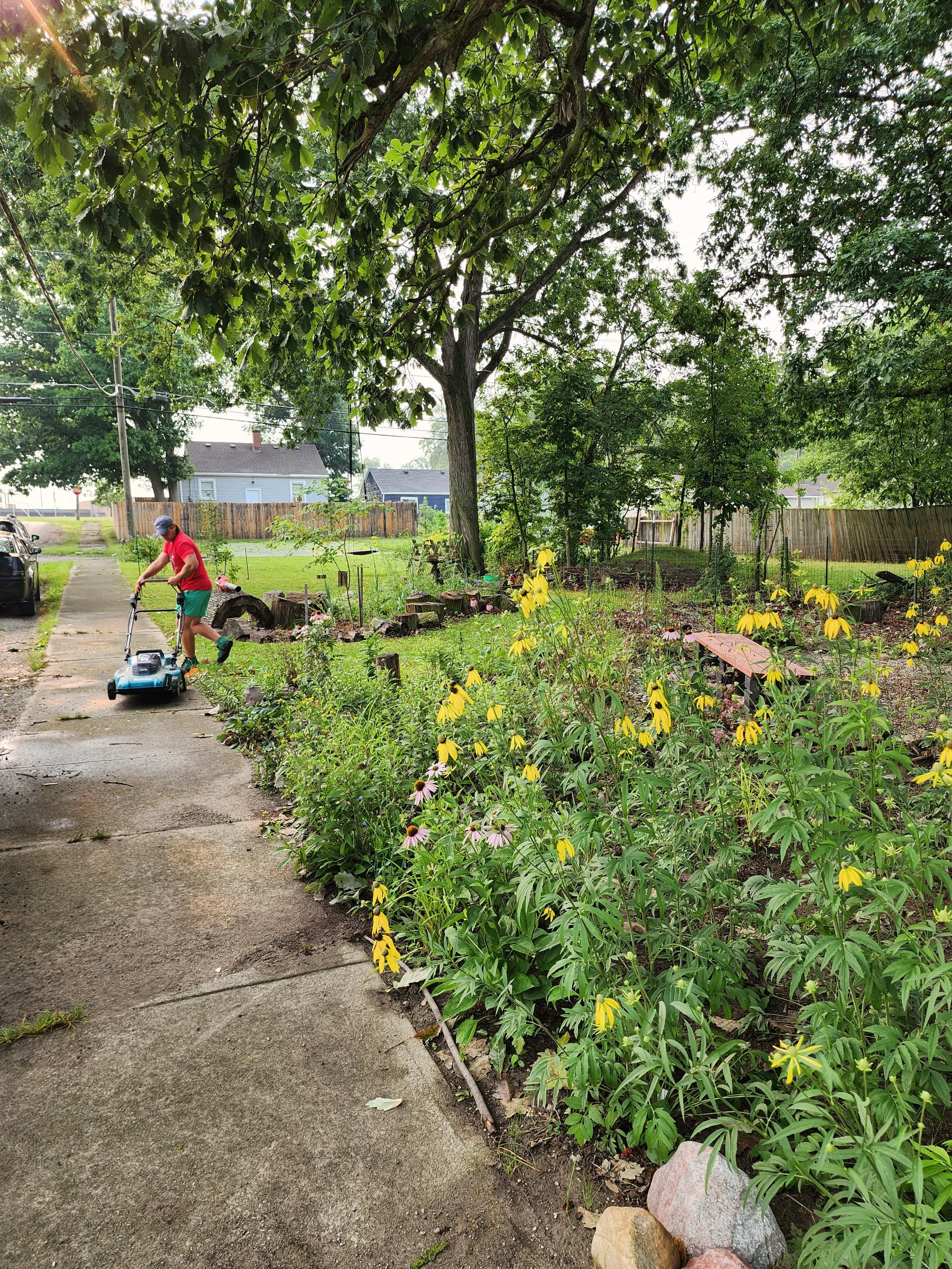 Redbud Orchard Maintenance.jpg