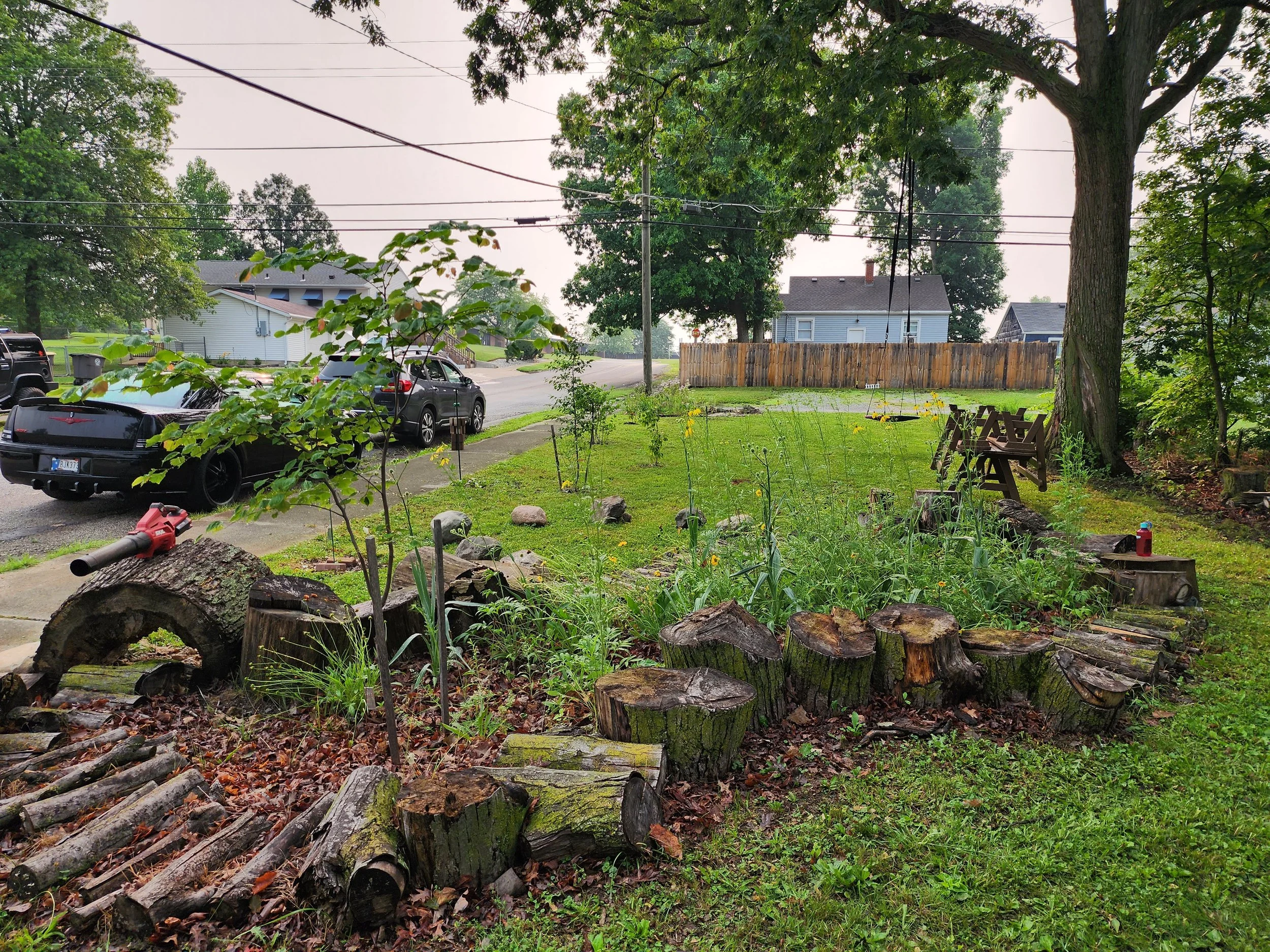 Nature Playscape.jpg