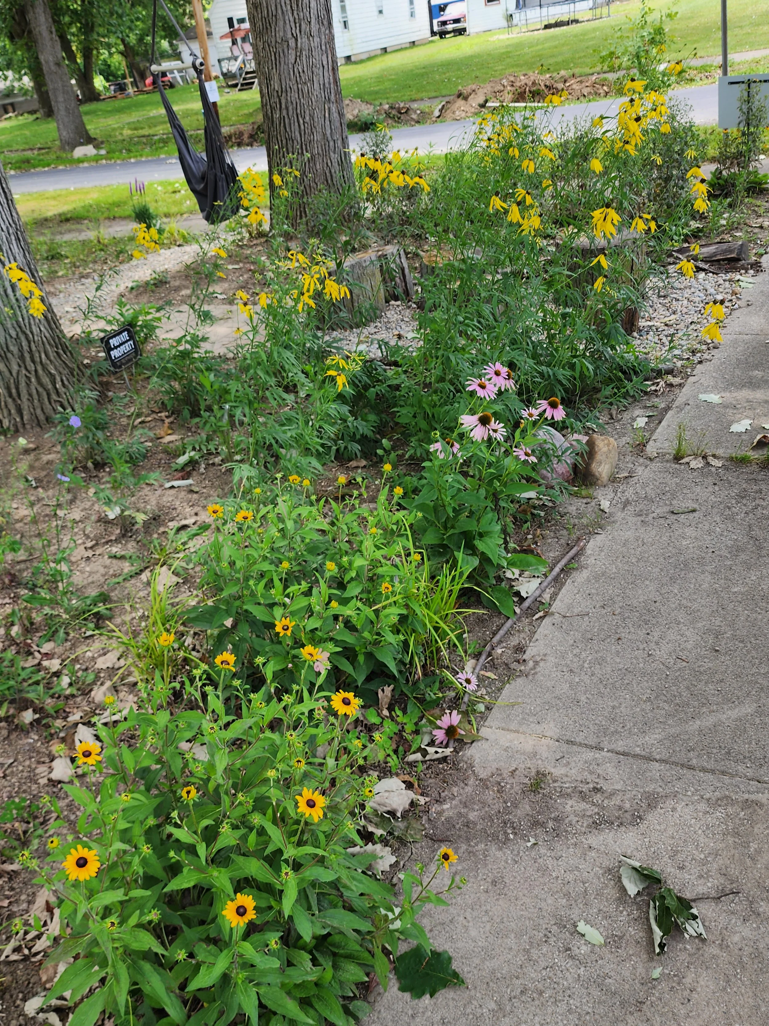 Wildflowers & Swing.jpg