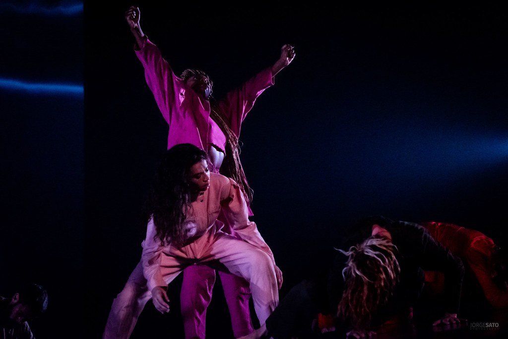 54009300291_4388947118_b (1).jpg