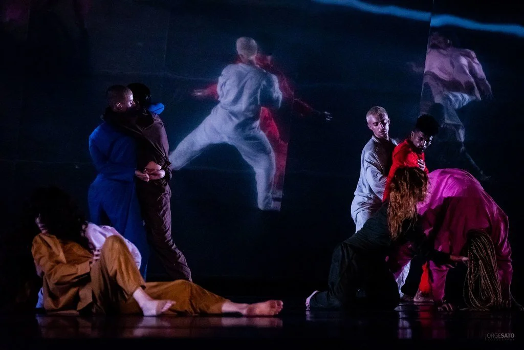 54009524348_bb5b59092b_b (1).jpg