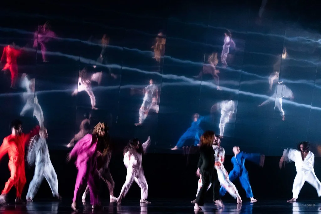 54009524453_ba01e18942_b (2).jpg