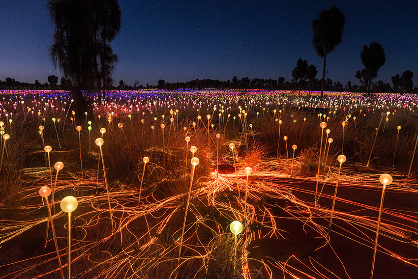 Field of Light glowing in the desert - Credit Tourism NT - Matt GlastonburyC.jpg