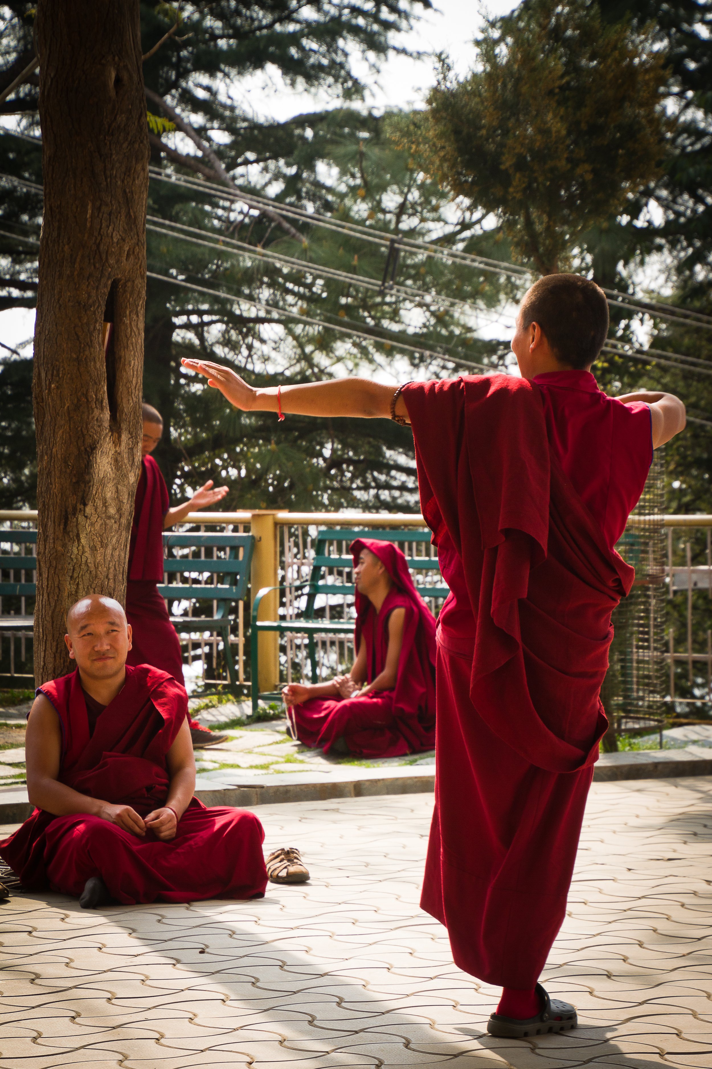 Debating-Buddhist-monks,-Dalai-Lama-temple,-McLeod-Ganj,-India-514216320_3089x4633.jpeg