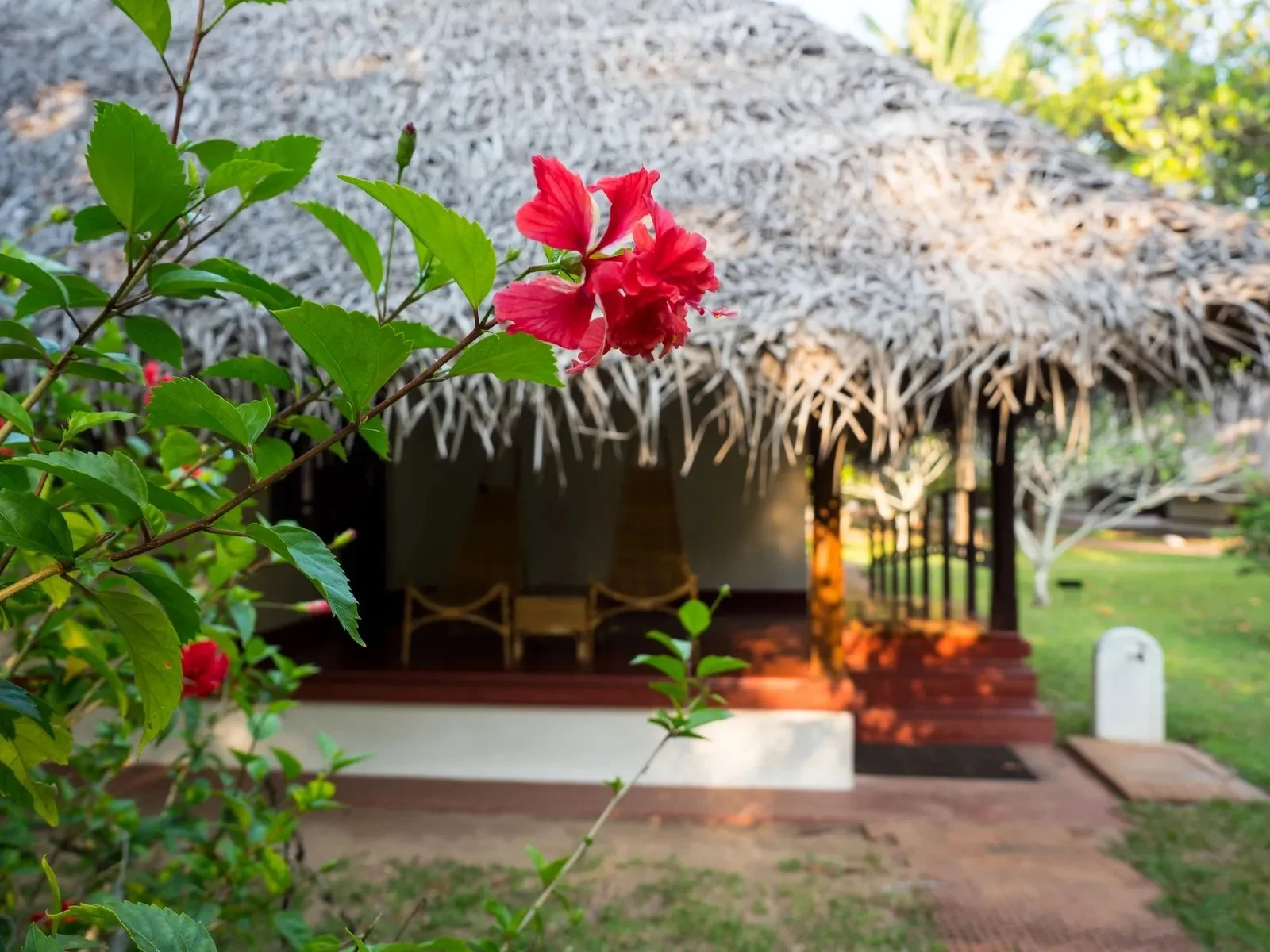 Marari-Beach-Villa-2.jpg.jpeg