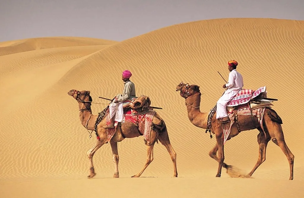 camel+riderB.jpg.jpeg