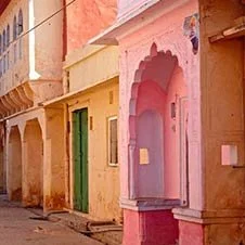 Samode village from their website.jpg