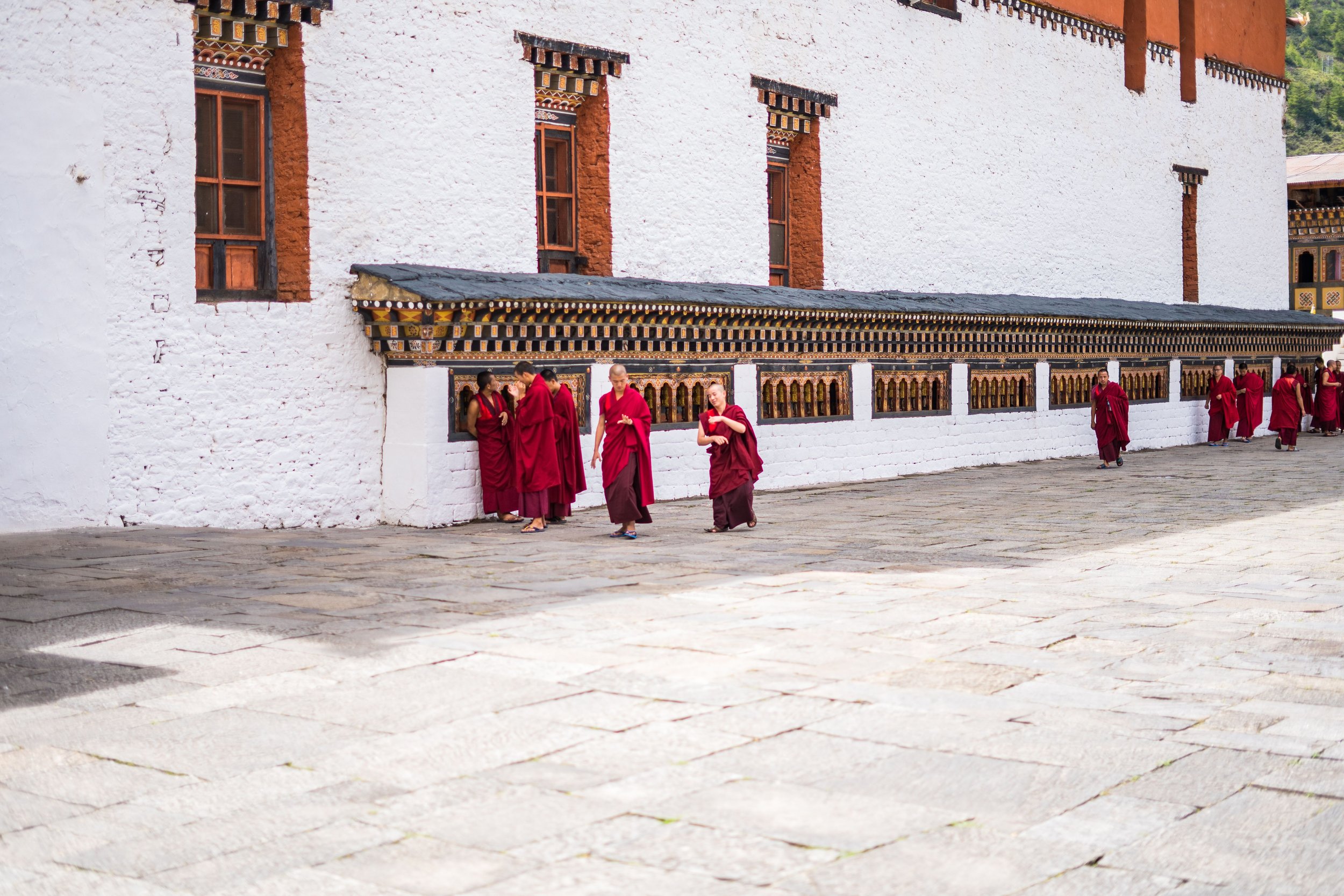 pexels-pragyanbezbo-10119631.jpg