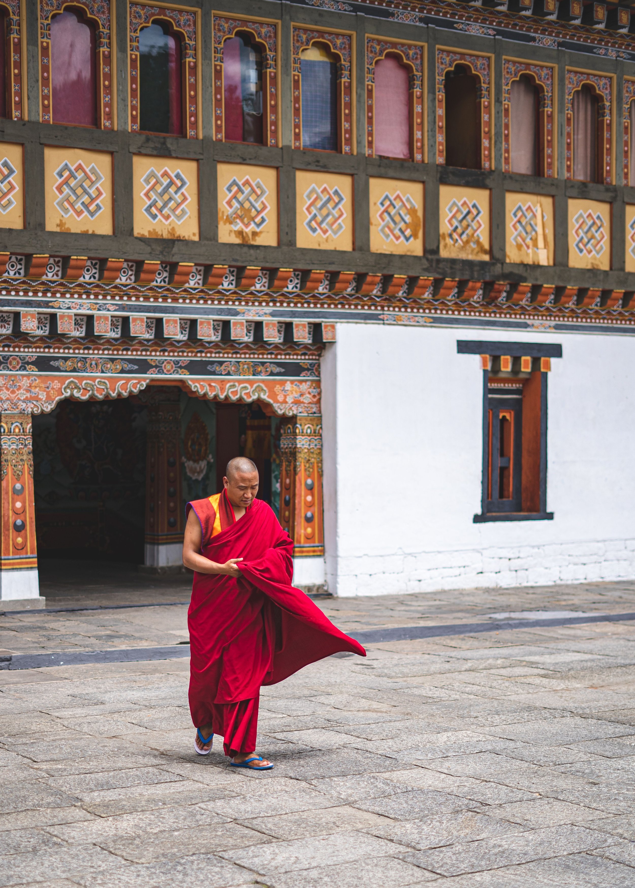 pexels-pragyanbezbo-2666002.jpg