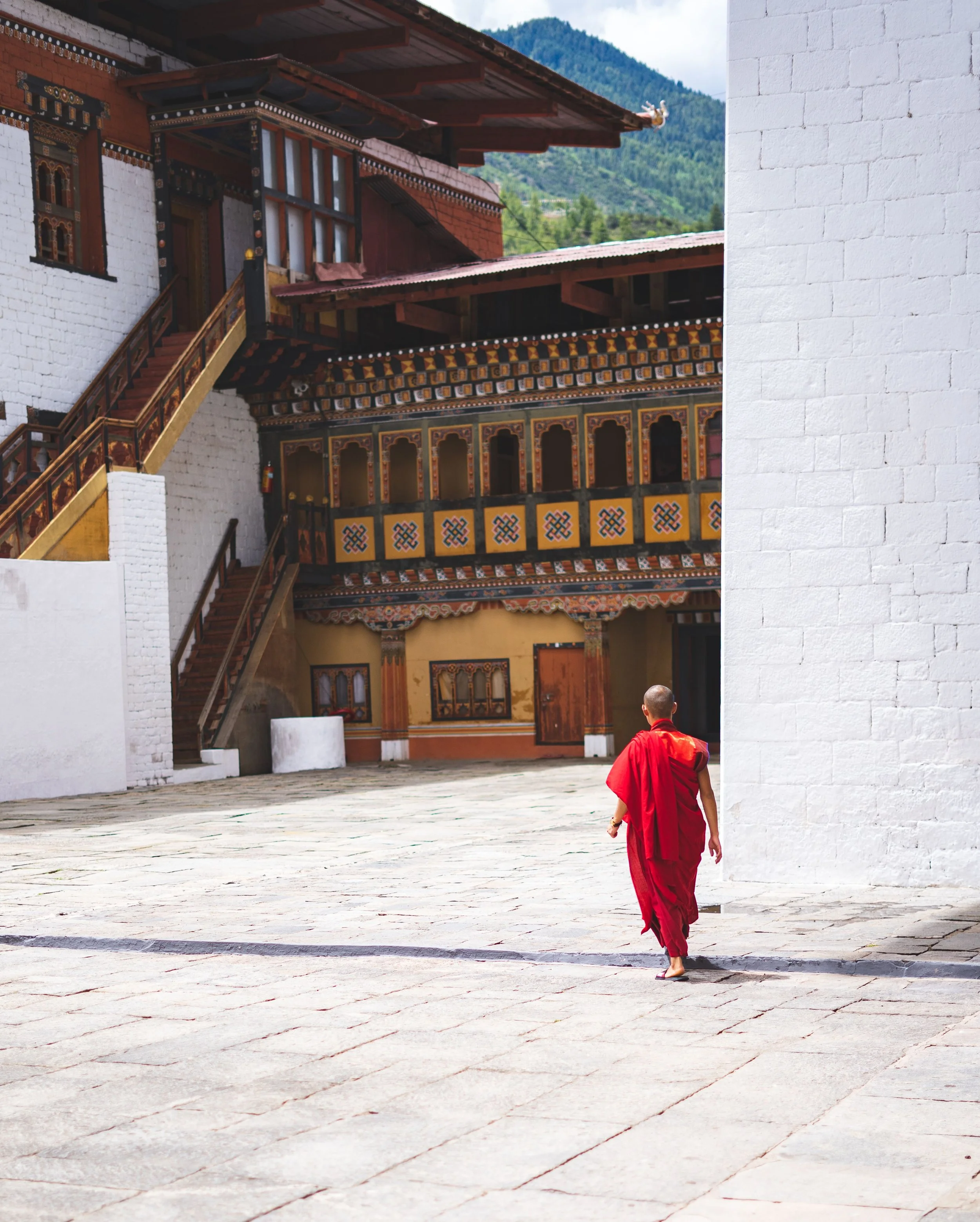 pexels-pragyanbezbo-2896958.jpg