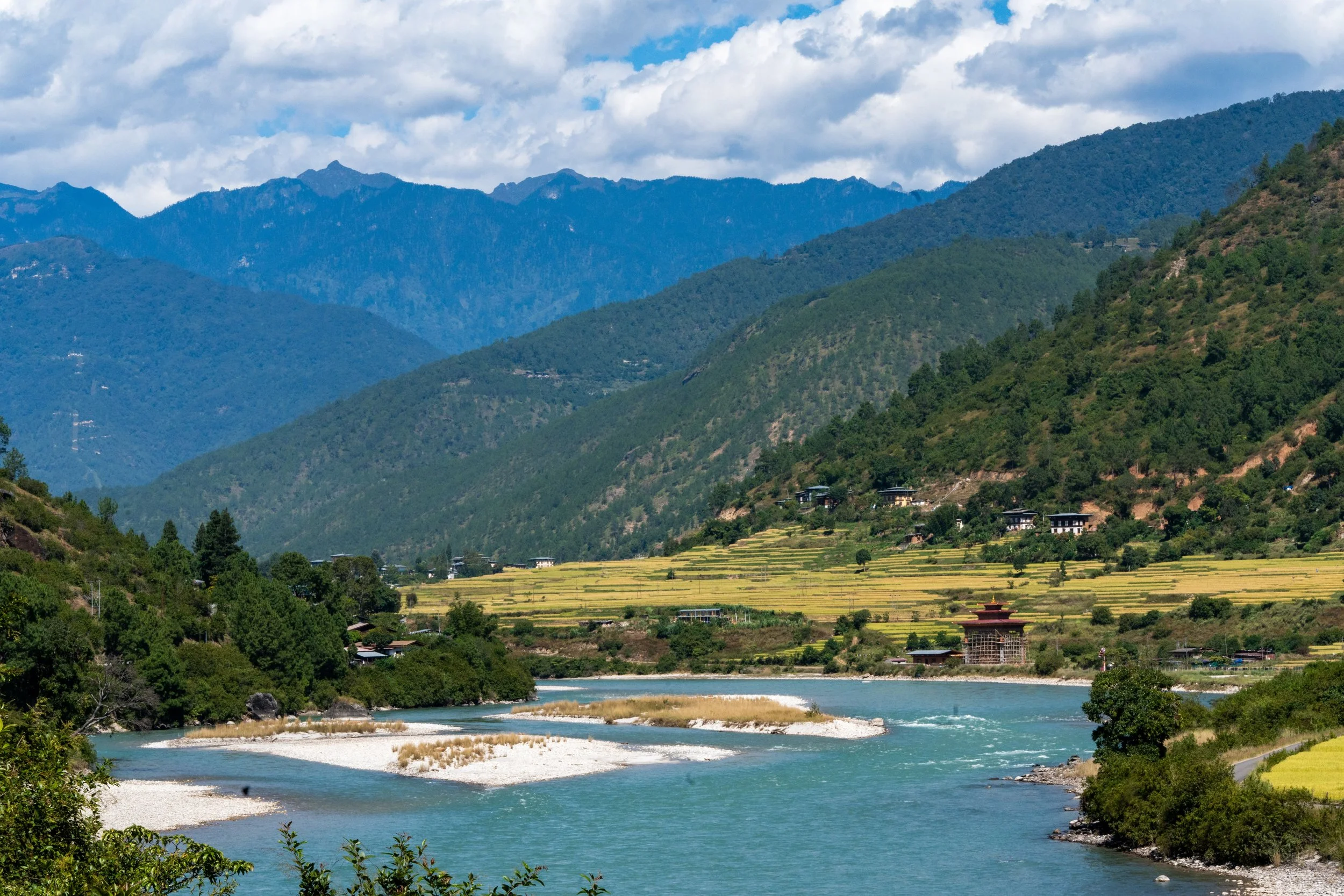 pexels-shootsaga-35594049.jpg