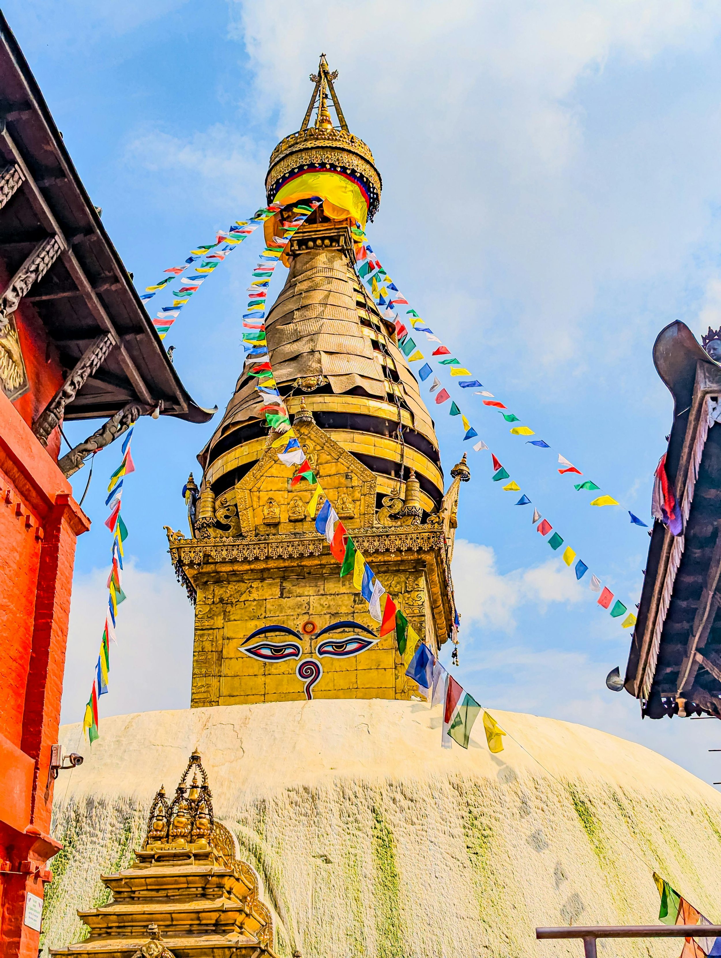 pexels-sumit-nepal-1676592-36924321.jpg
