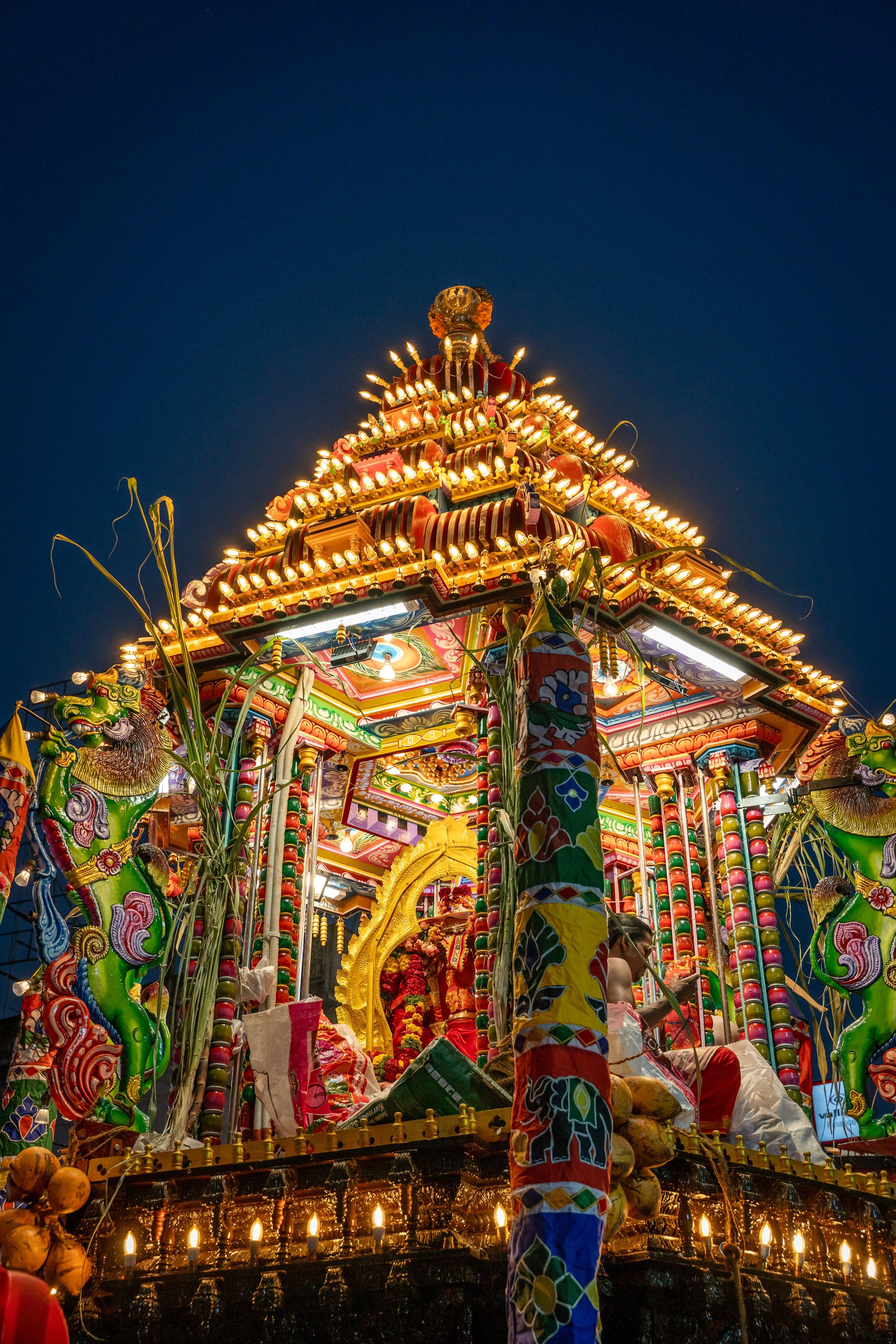 pexels-thilina-alagiyawanna-3266092-36608982.jpg