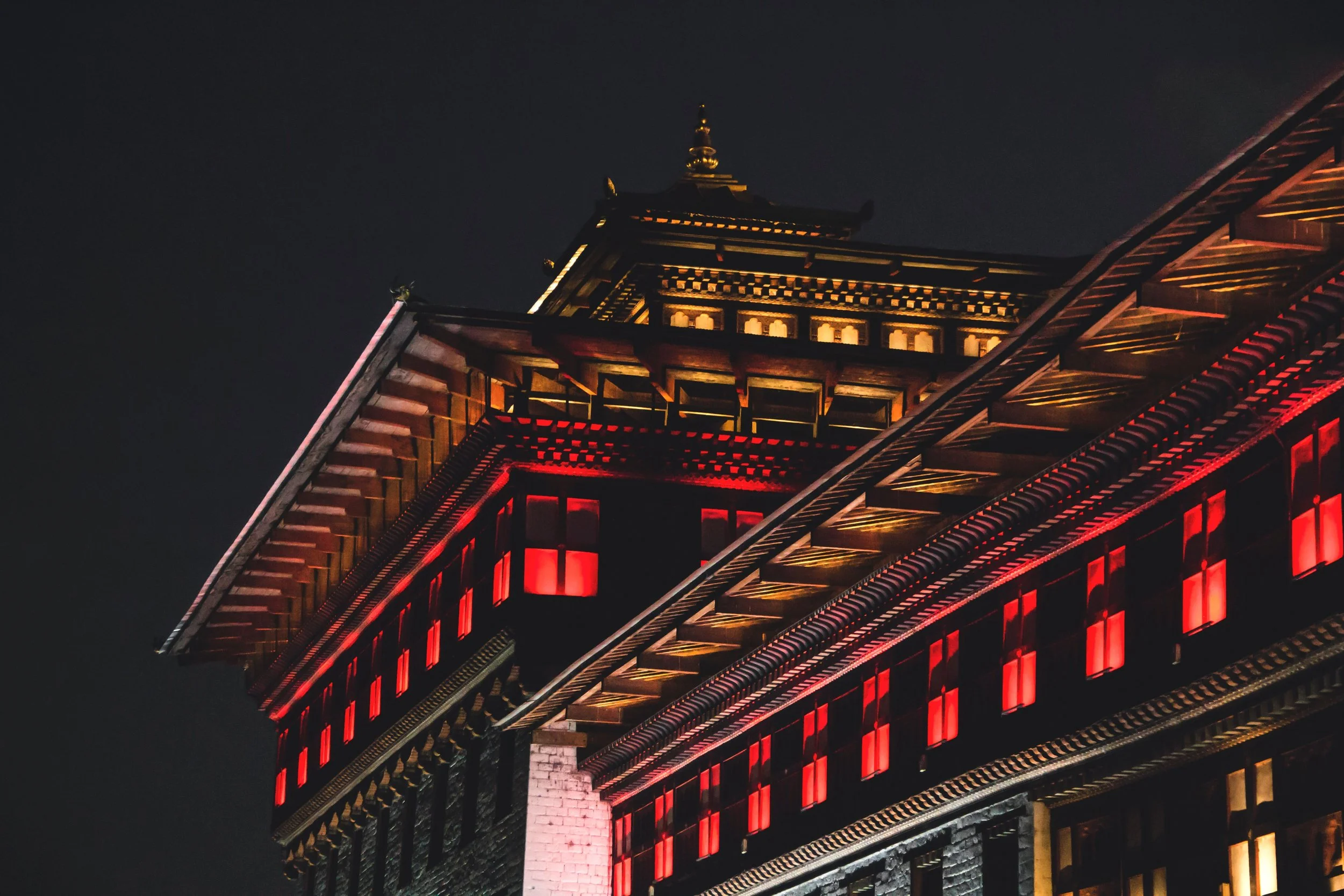 pexels-setu-r8-4221670.jpg