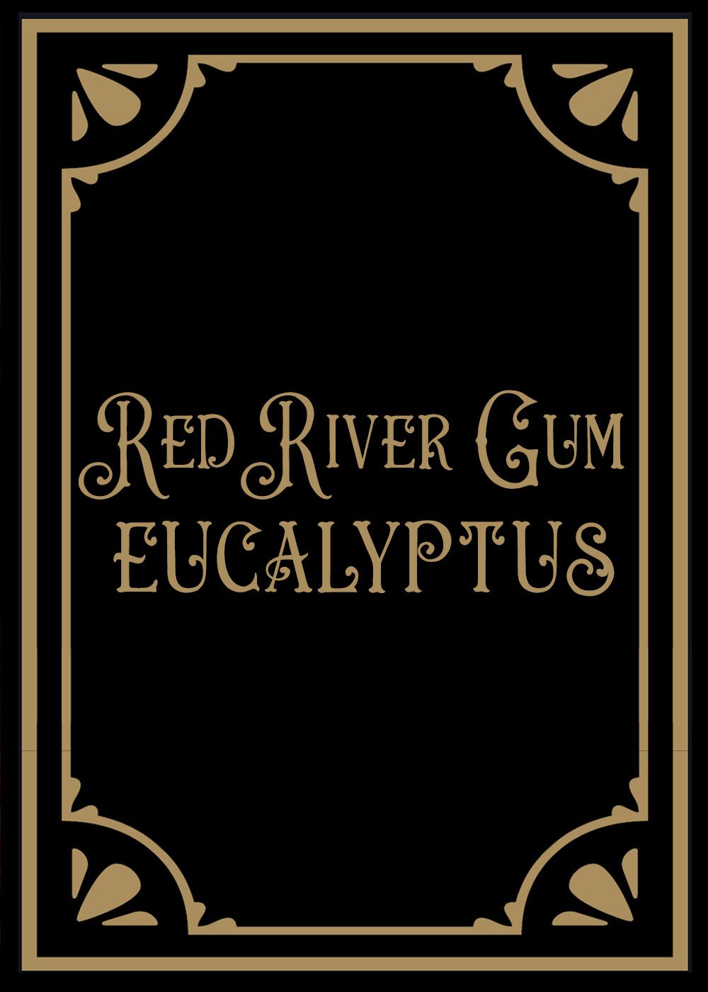 River Red Gum Eucalyptus