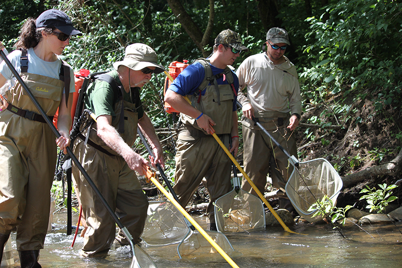 Habitat_Biomonitoring01.jpg