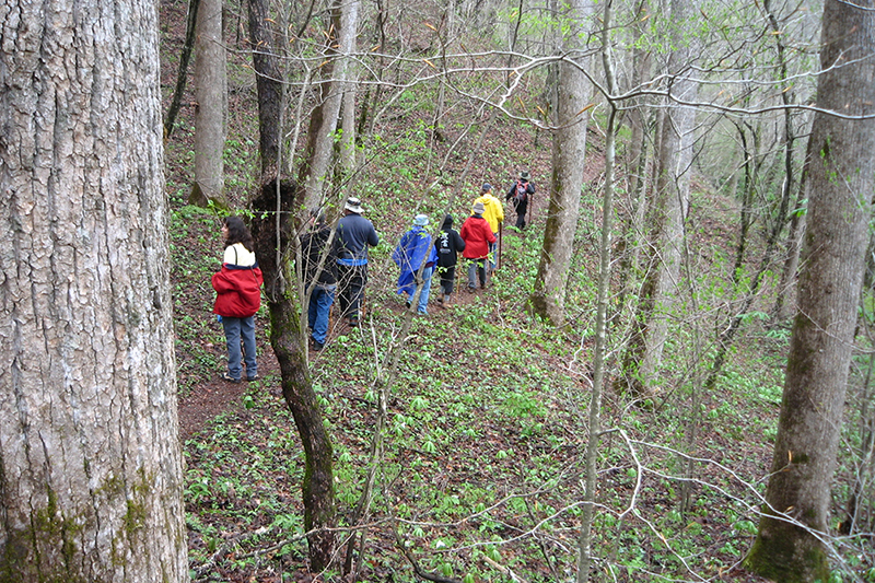 nature hike_03.jpg