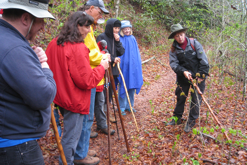 nature hike_04.jpg