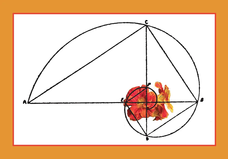 EVERLASTING BLOOM: Inspired Rhythms