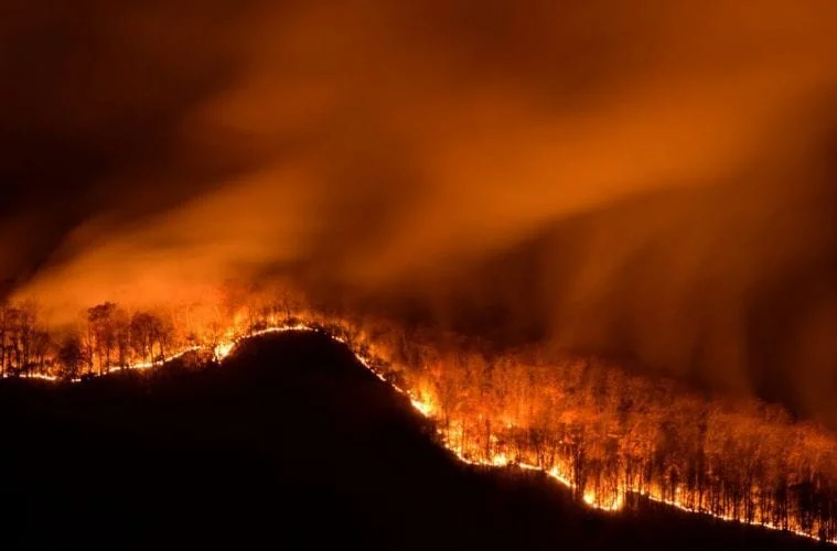 ARTS ATL - After surviving wildfire, the Hambidge Center fights to get back on track