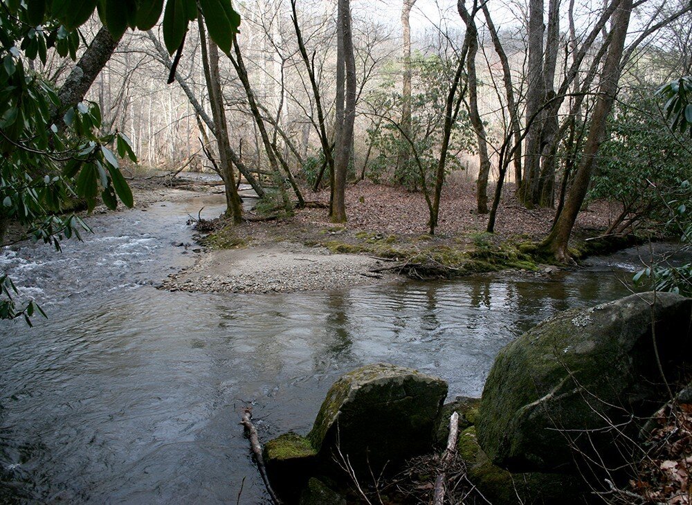 &ldquo;When I fully enter time&rsquo;s swift current, enter into the current moment with the weight of all my attention, I slow the torrent with the weight of me all here.&rdquo;
― Ann Voskamp

#hambidge #hambidgecenter #getoutside #thinkdeeply