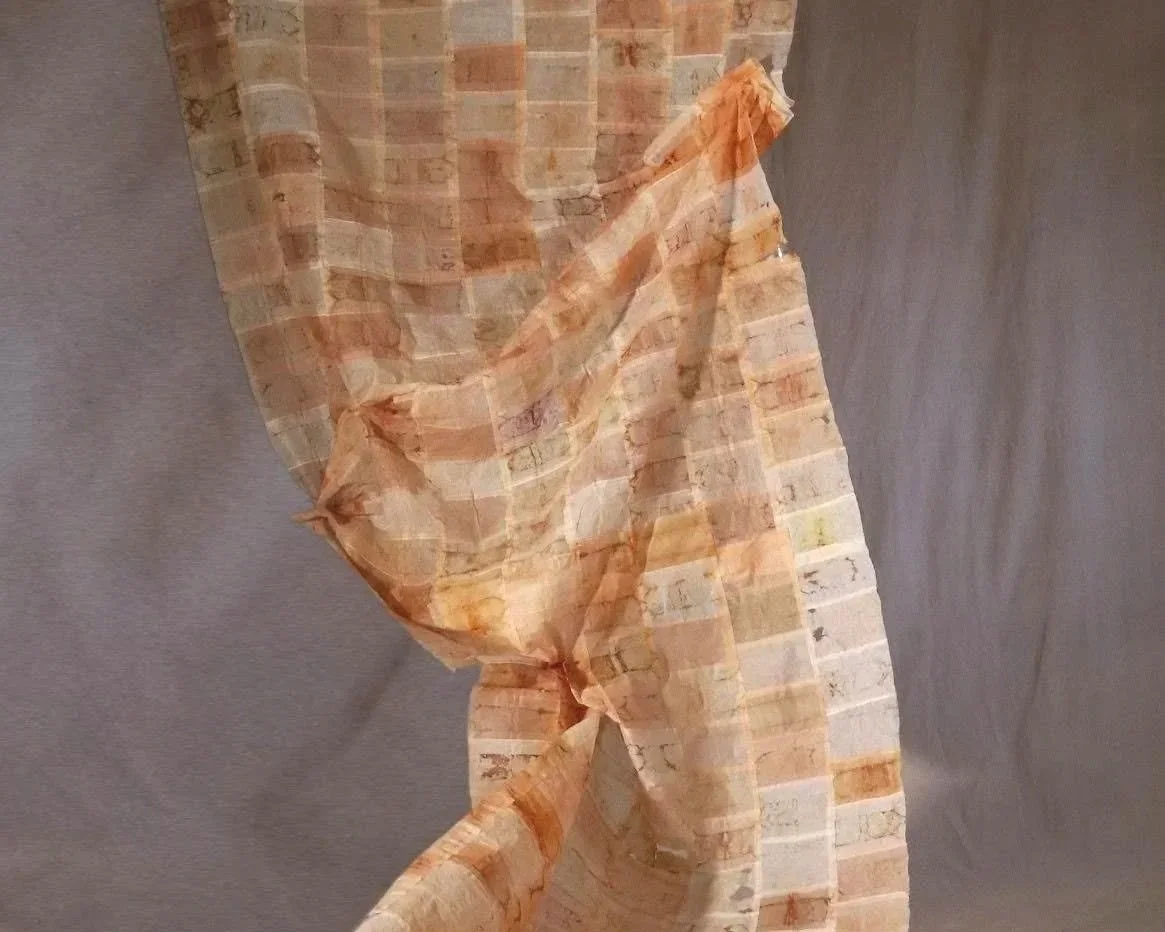 Tea and Artist Talk with Noushin 