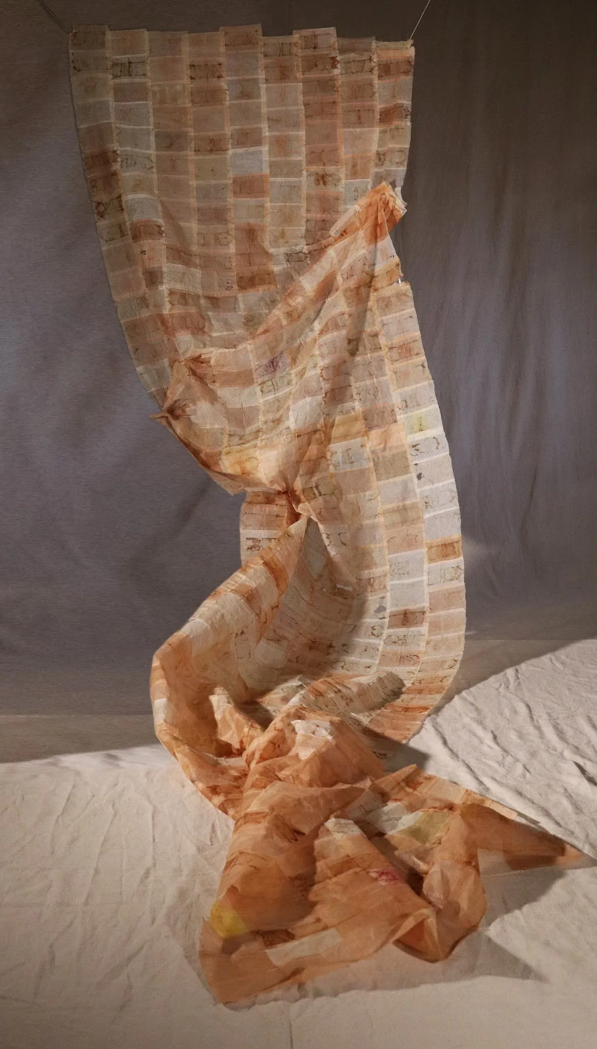 Tea and Artist Talk with Noushin 