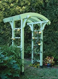 Arbor.jpg