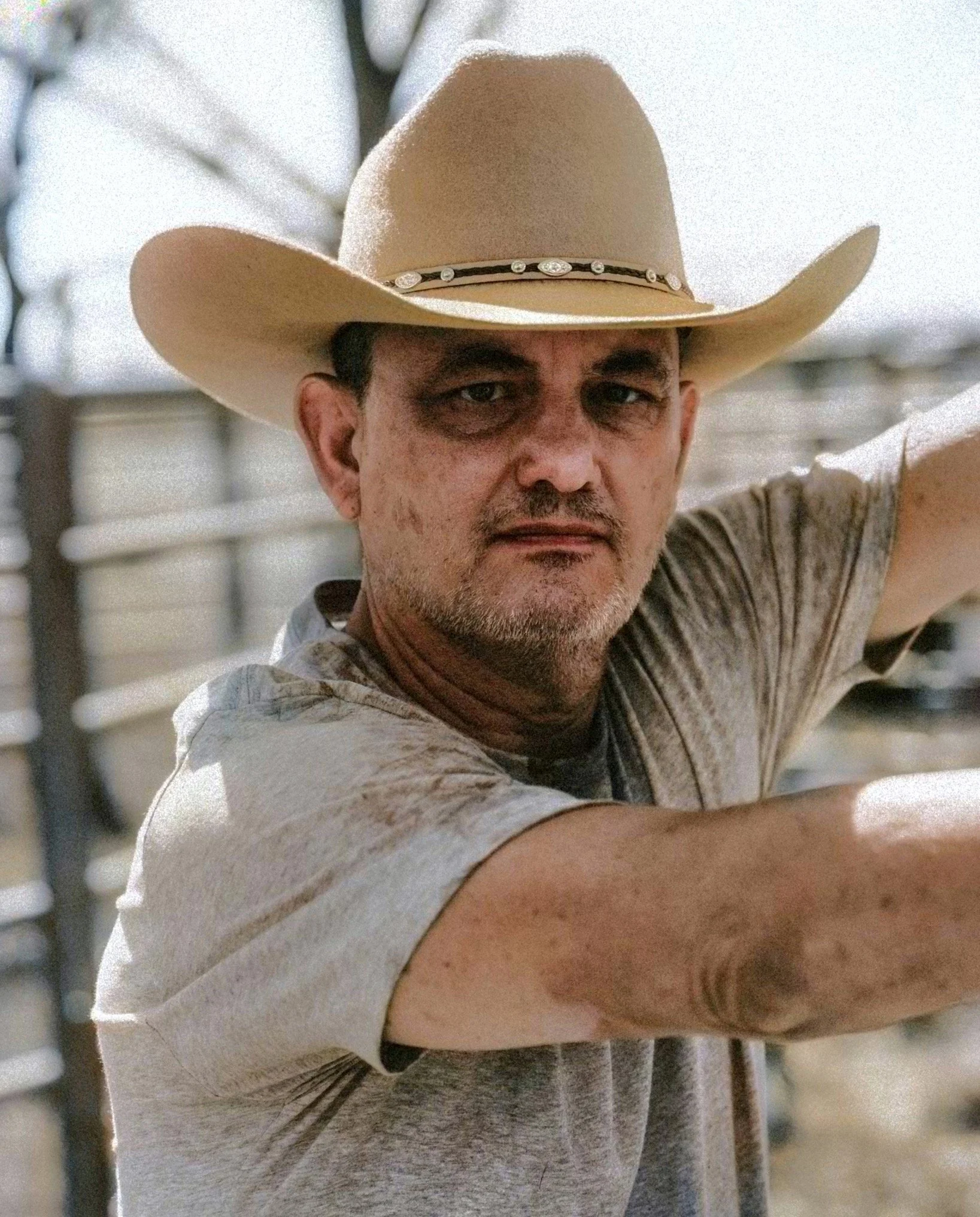 Closeup Hay HD 2.jpeg