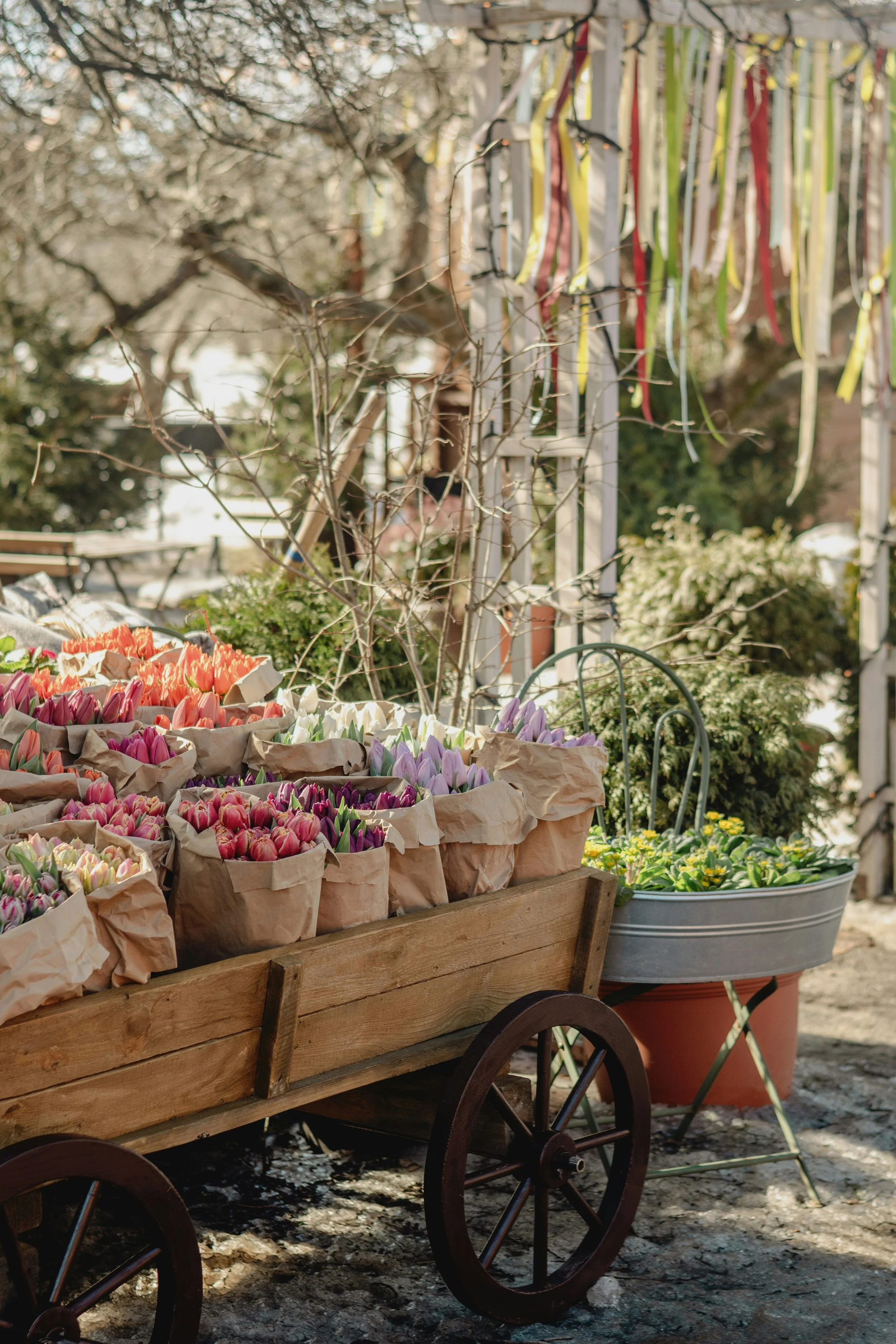 North Canaan Spring Fest