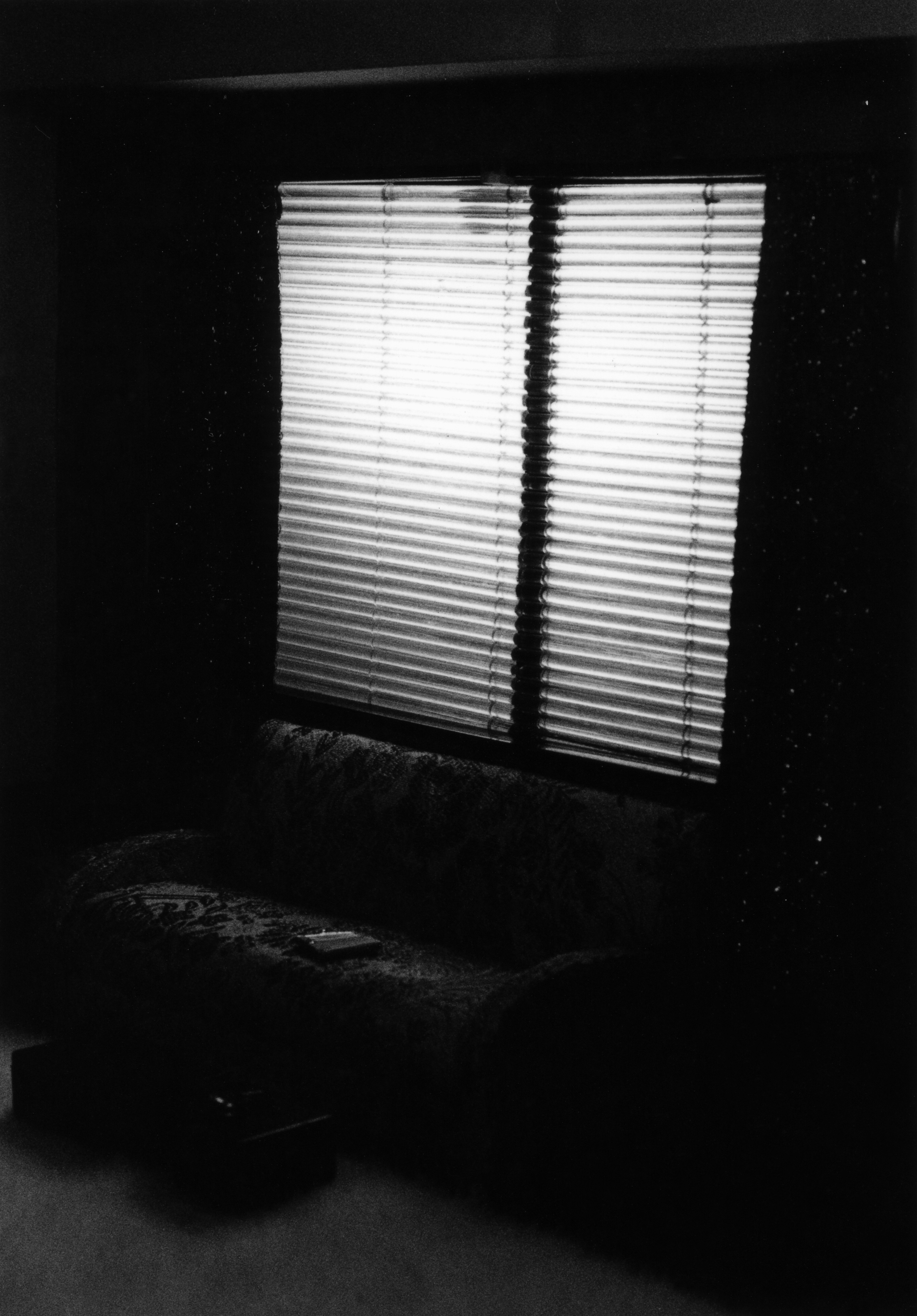 Venetian Blinds