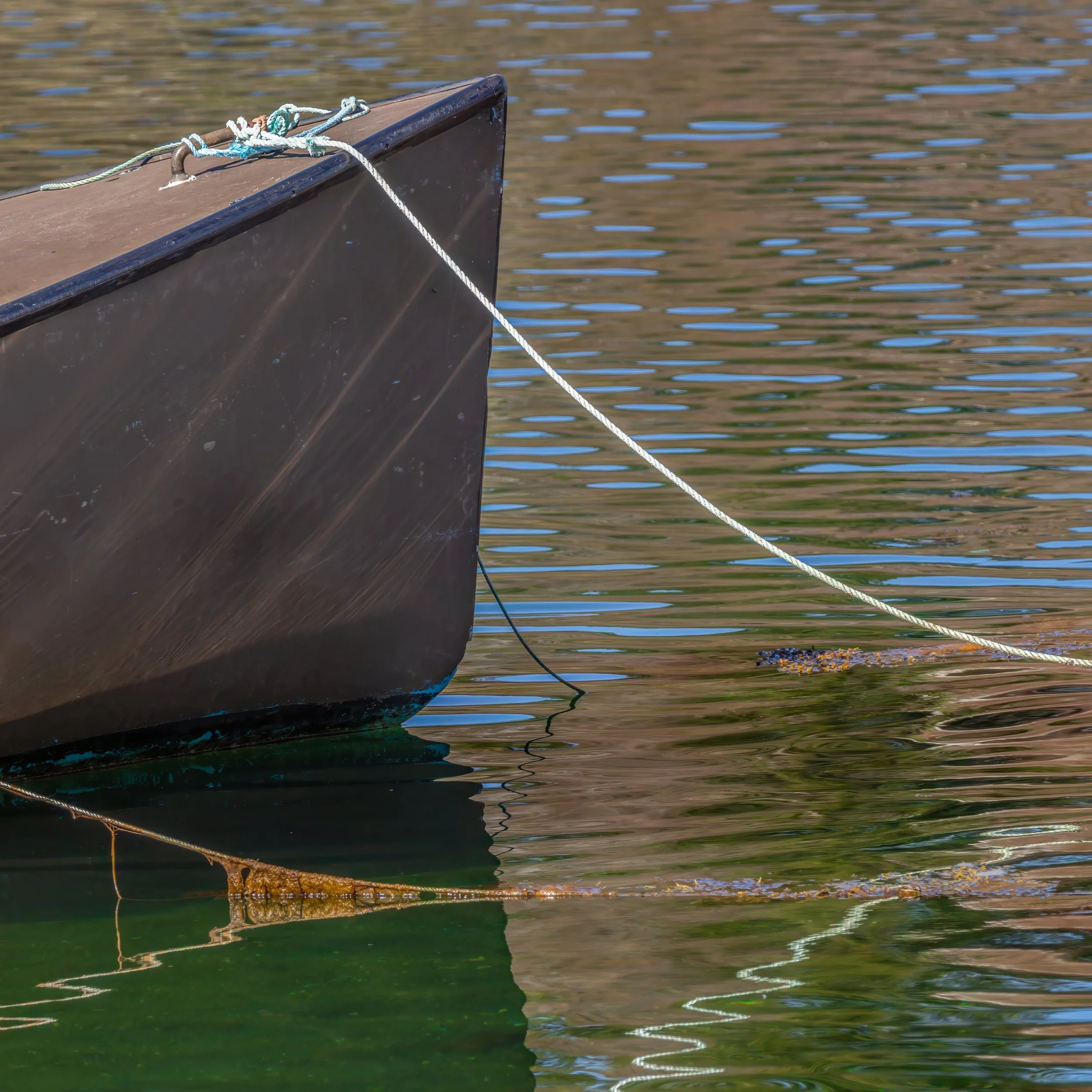 1K3A8703-Edit-Edit.jpg