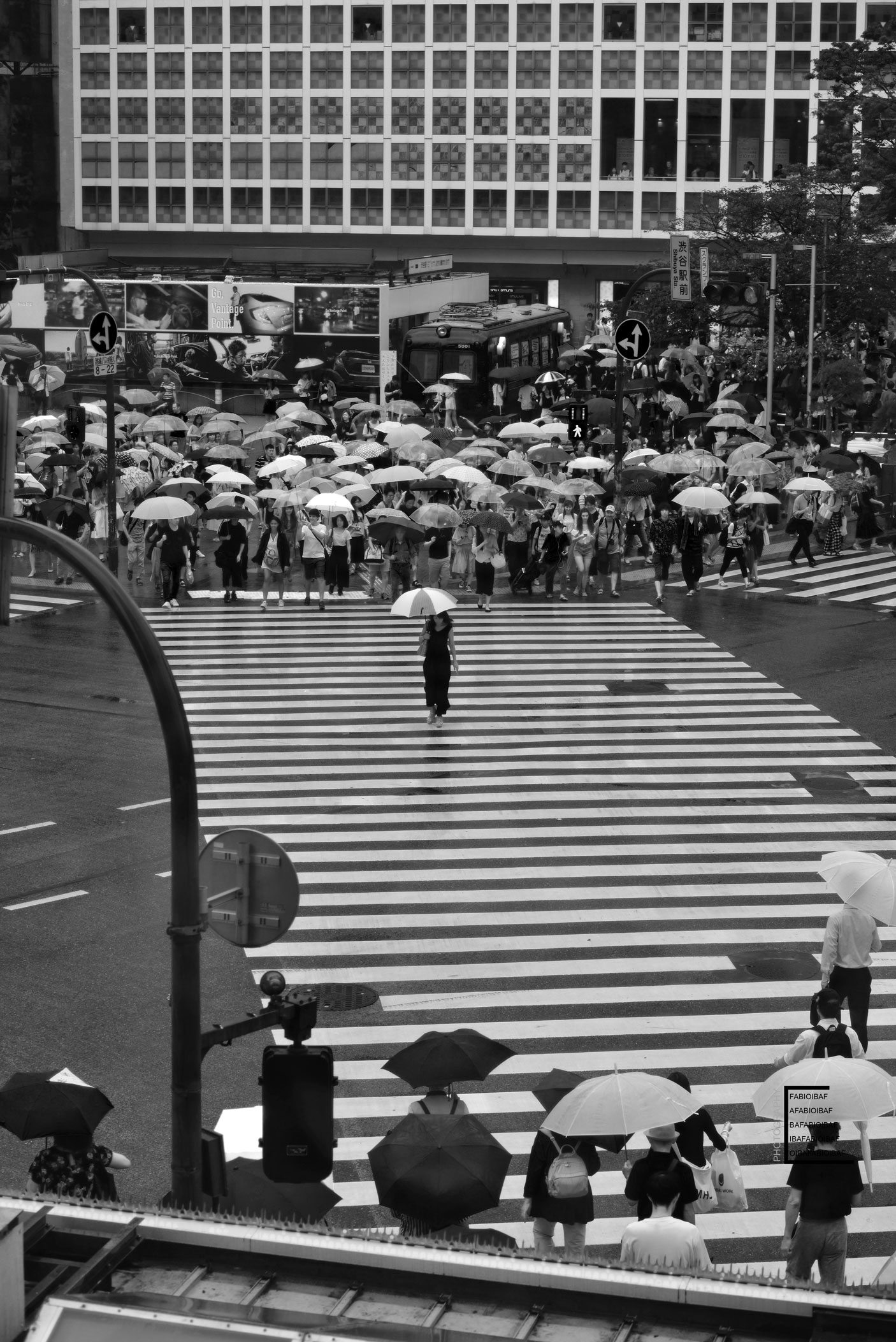 Tokyo---Shibuya--crossin-alone-bw.jpg