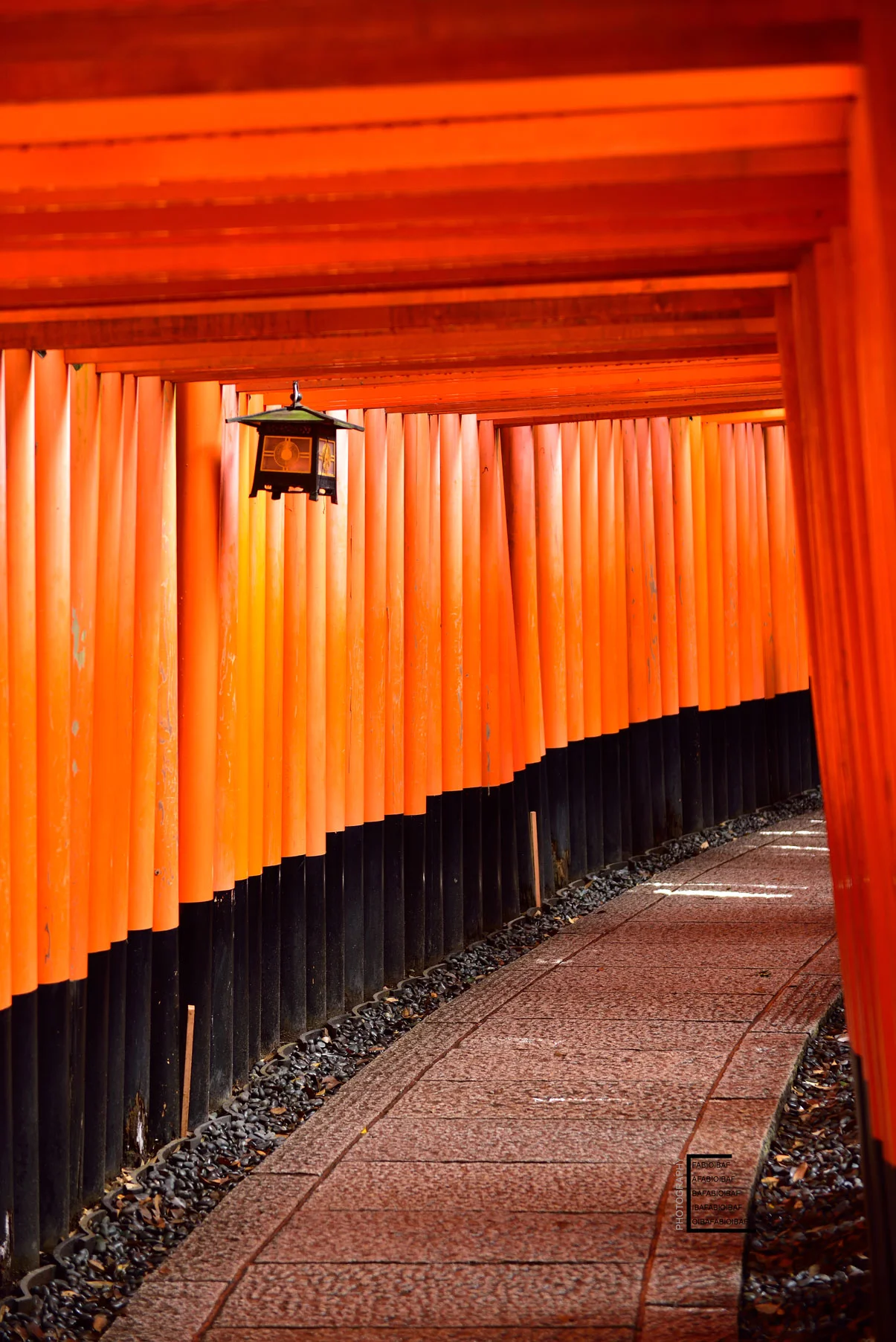 kyoto---fushimi-red-walk.jpg