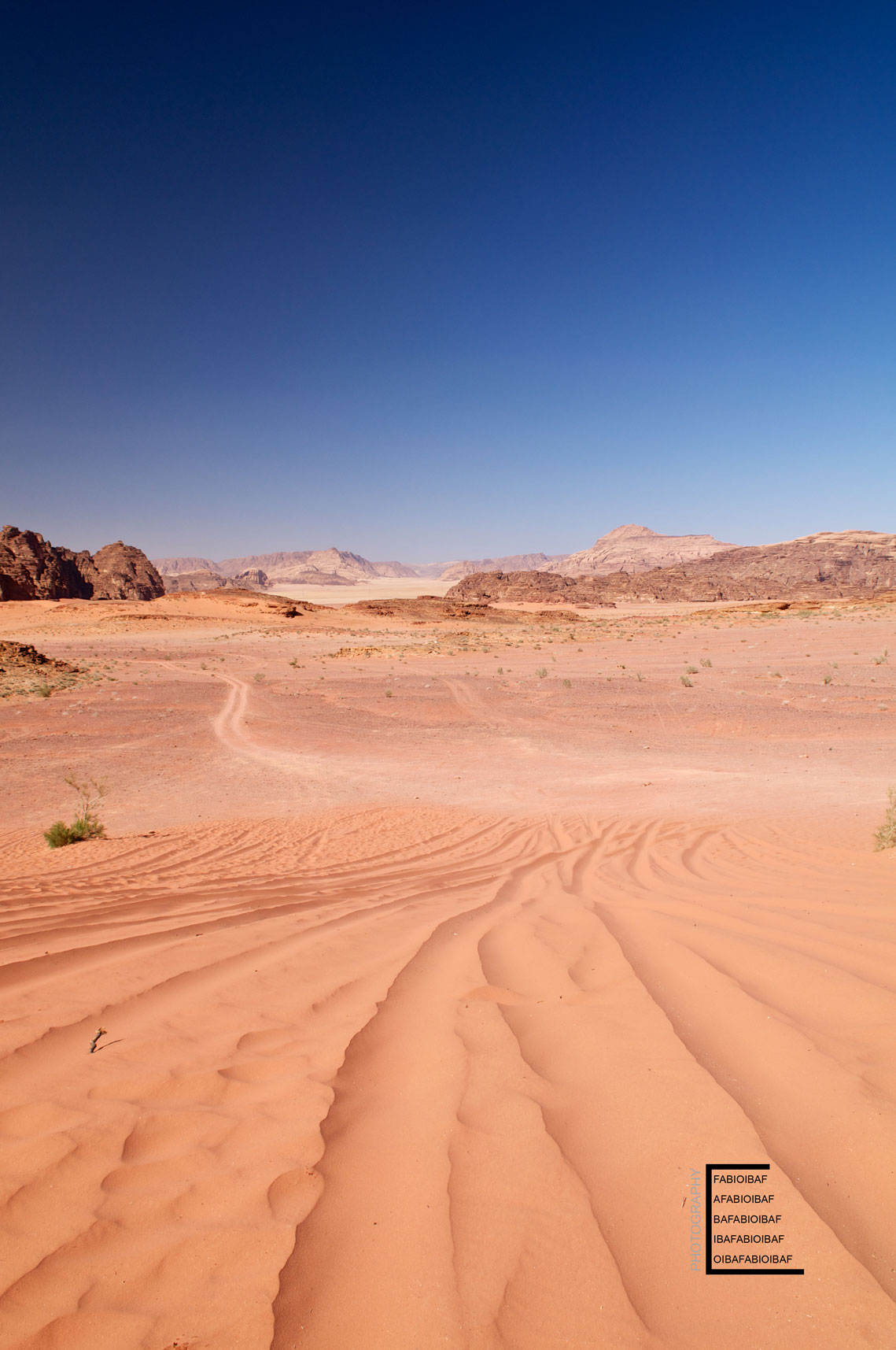 Wadi-Rum---dune-2.jpg