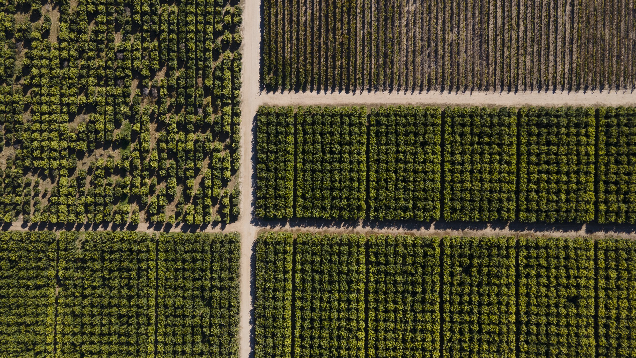  An aerial view of Rancho Guejito.     