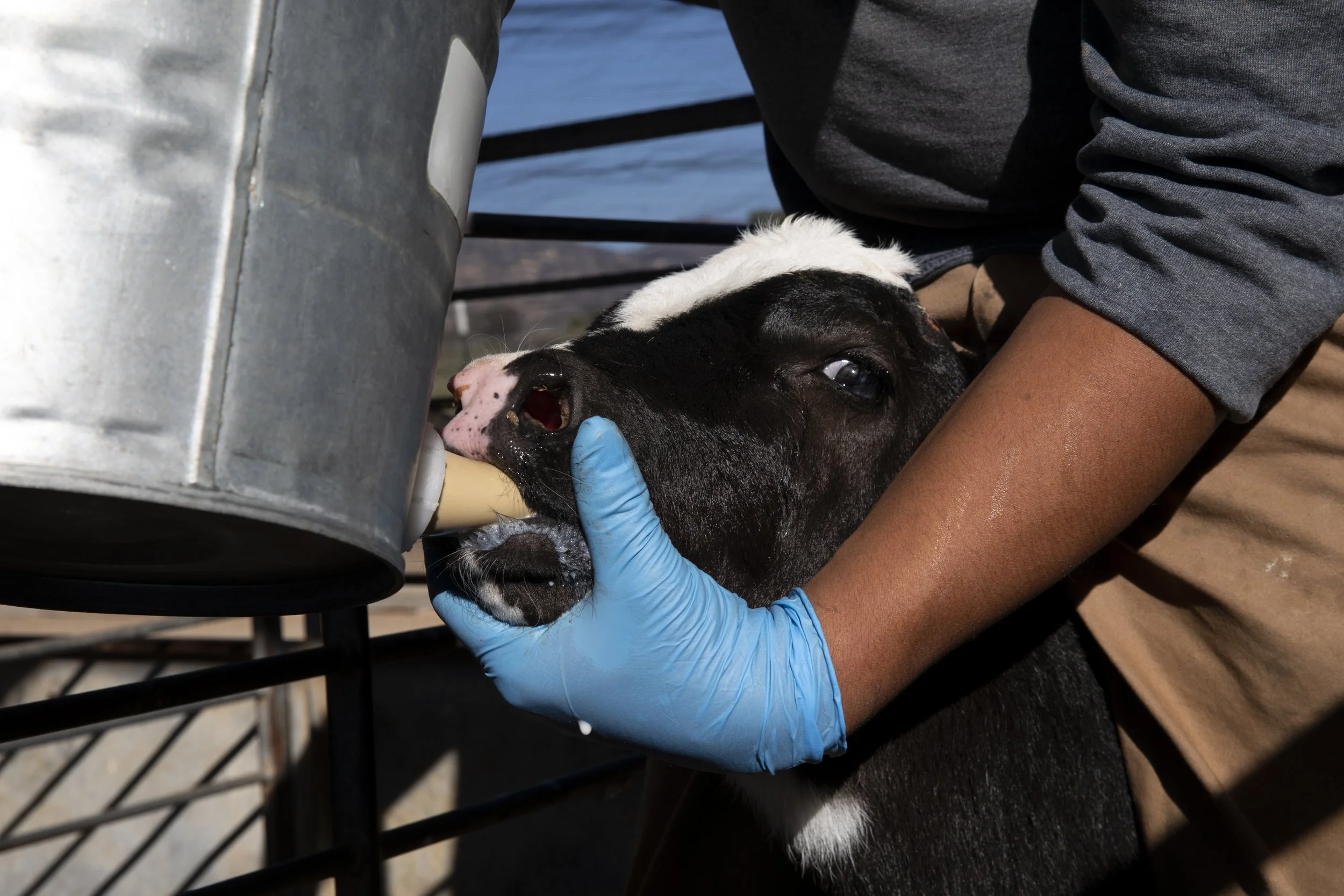 864008-sd-me-frank-konyn 11.JPG