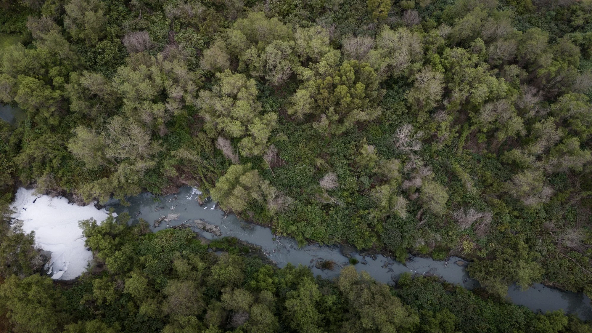 SUT-L-USC-Sewage-Fellowship 200.JPG