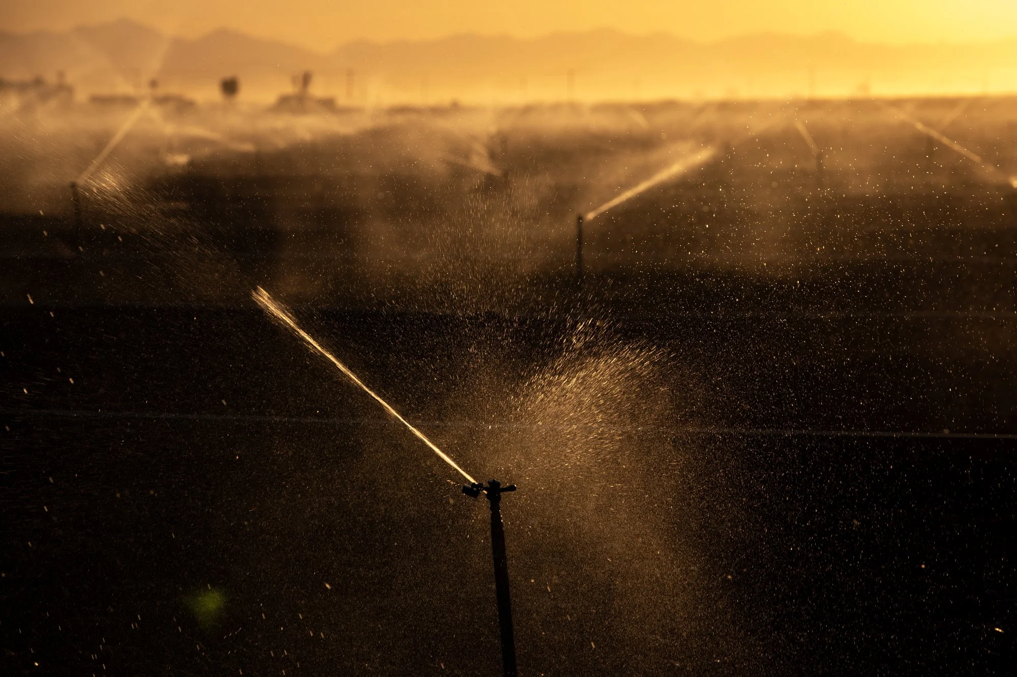 sut-l-sdsu-lithium 15.JPG