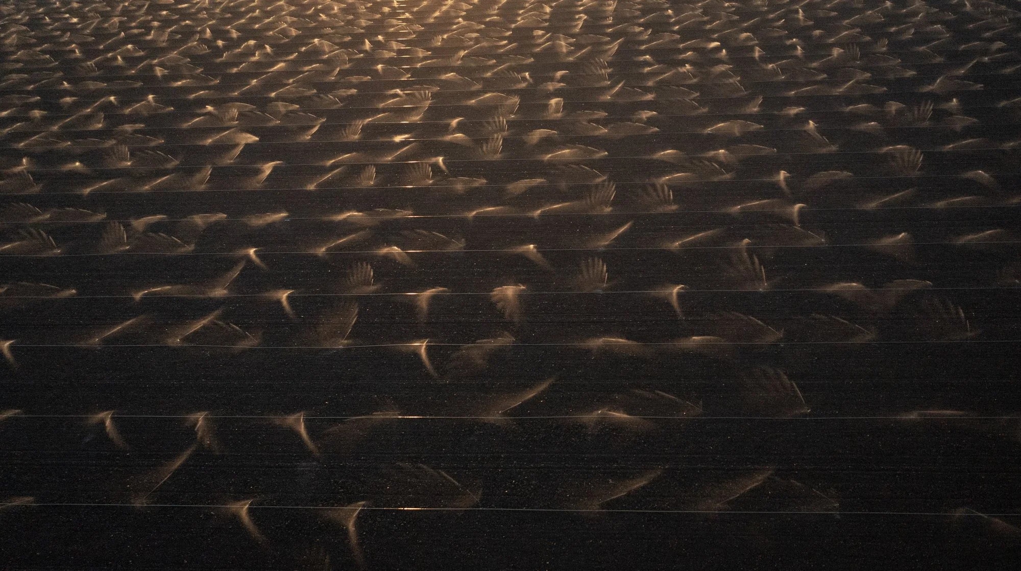 sut-l-sdsu-lithium 42.JPG