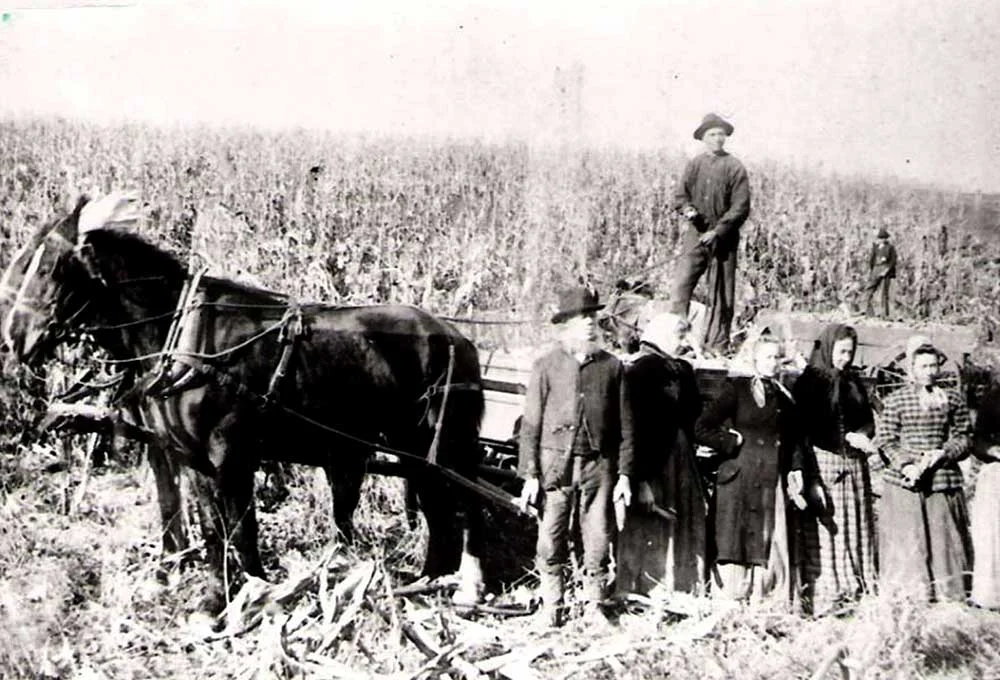 past-railroad-migration-02.jpg