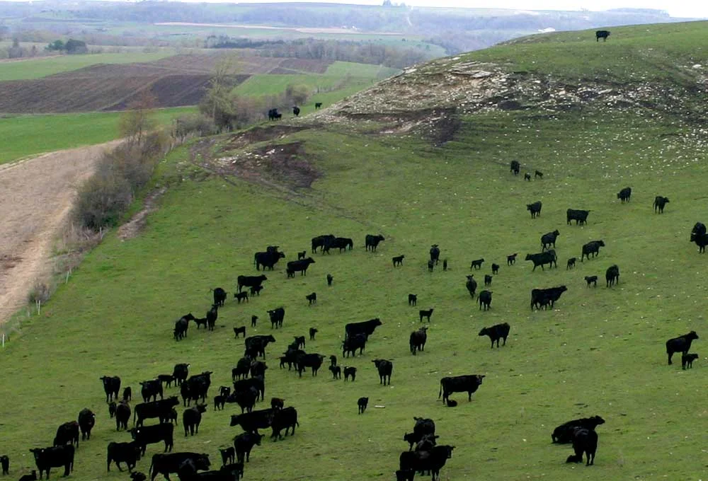 present-agriculture01.jpg