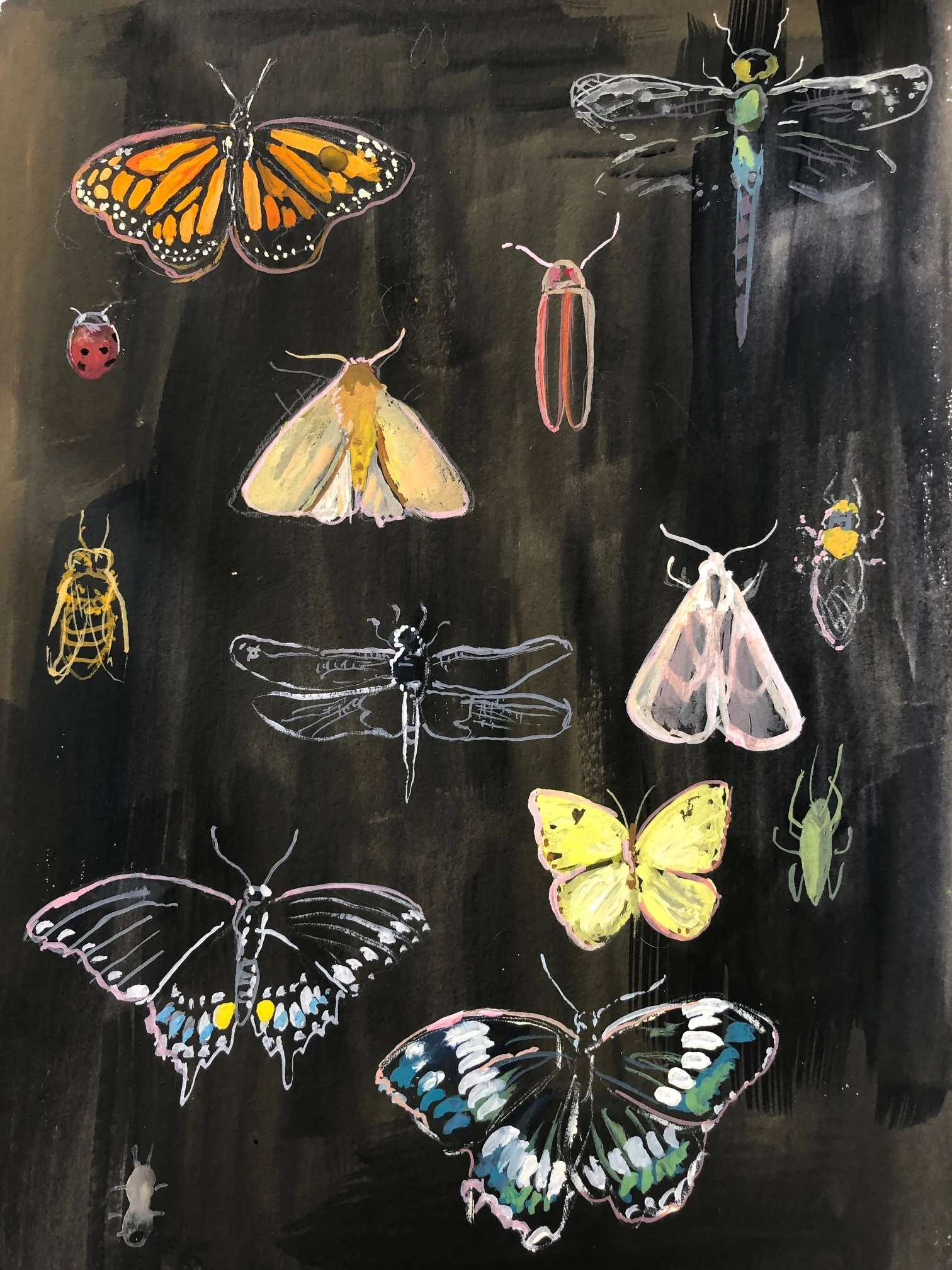 Michigan Bugs, 8 x 10 Gouache