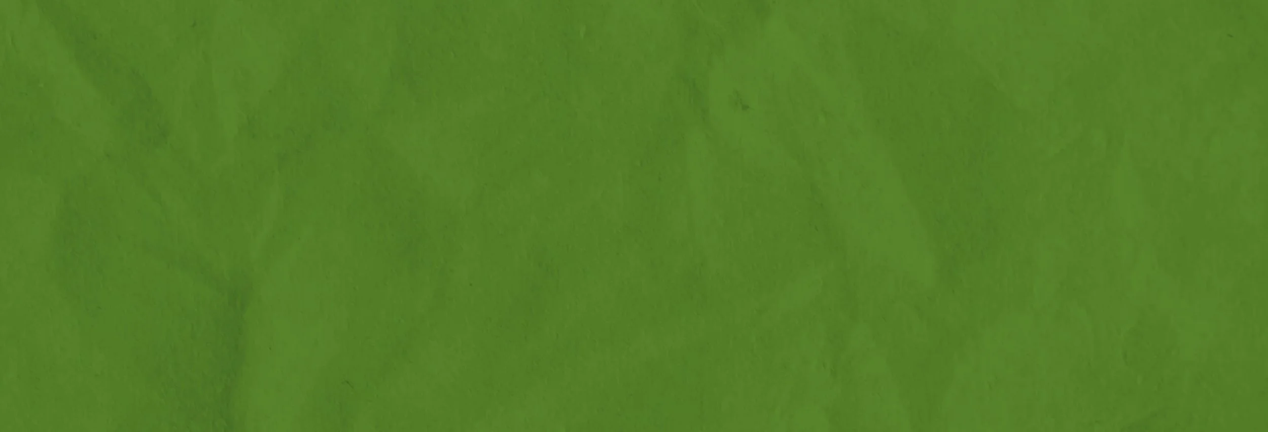 MAR 26 Home PG Background.jpg