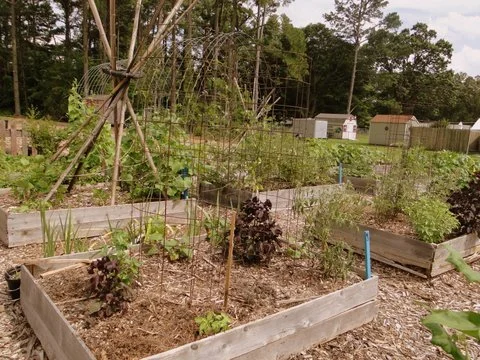 Garner Grows Plants 2g.jpg