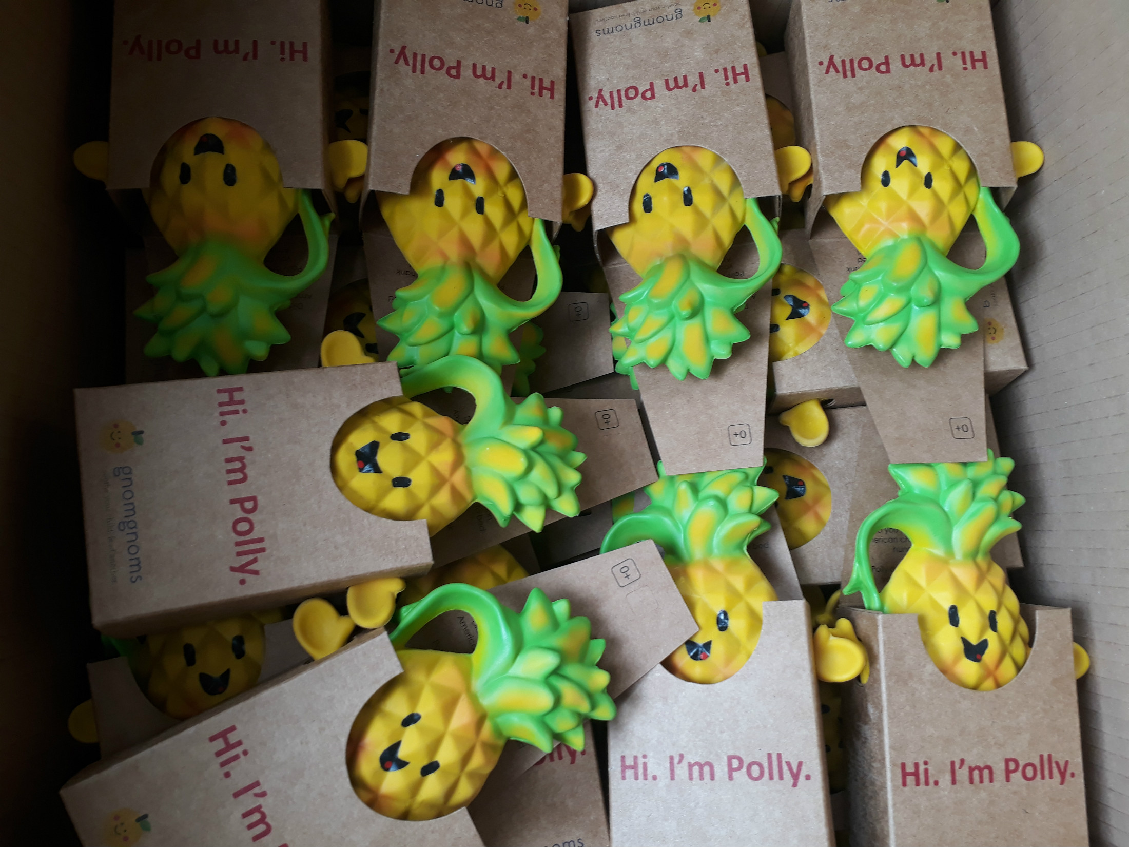 Polly with package in Carton..jpg